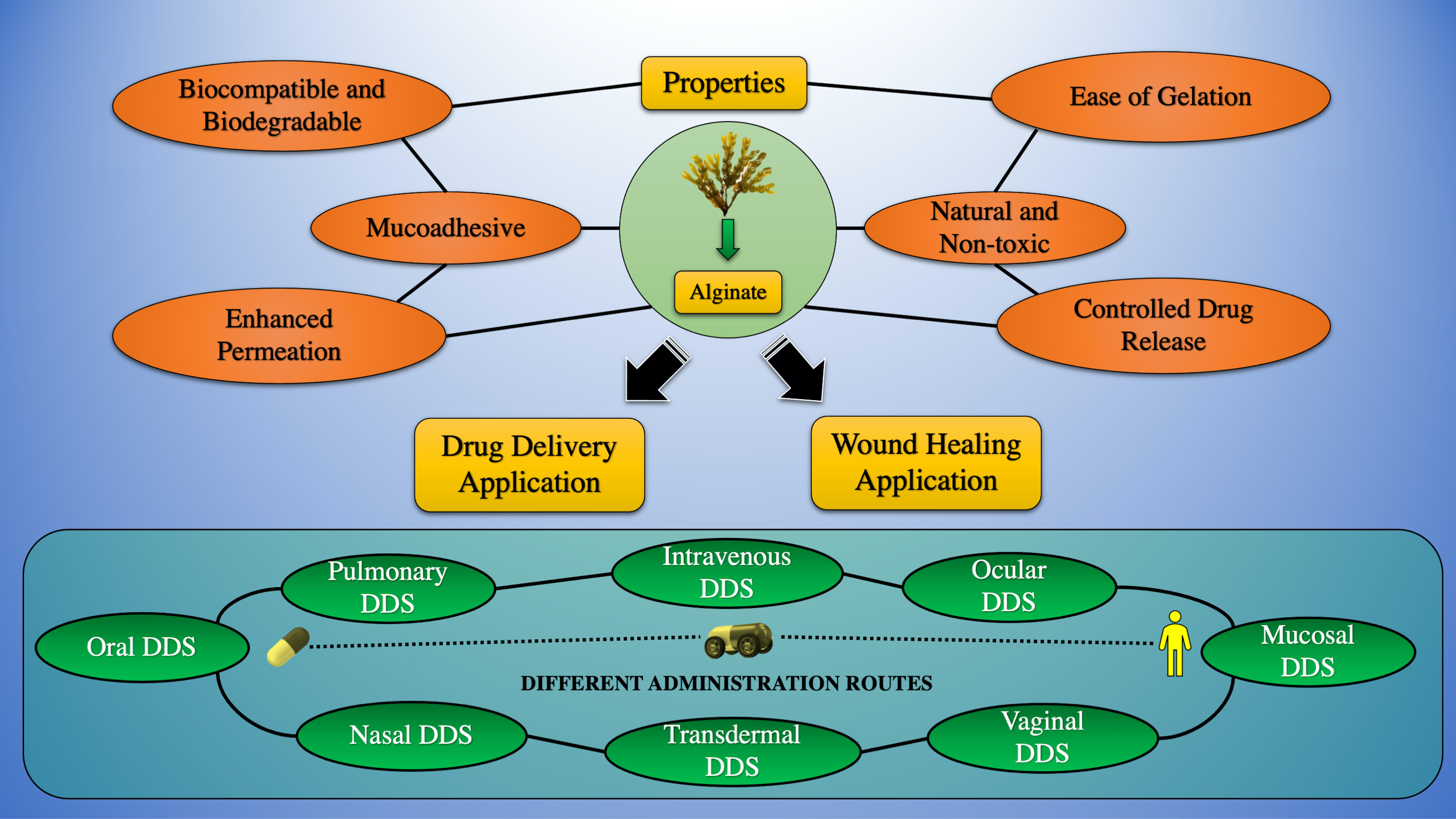 1time Hard Fukbhabhi Sleeping - IJMS | Free Full-Text | Alginate as a Promising Biopolymer in Drug Delivery  and Wound Healing: A Review of the State-of-the-Art