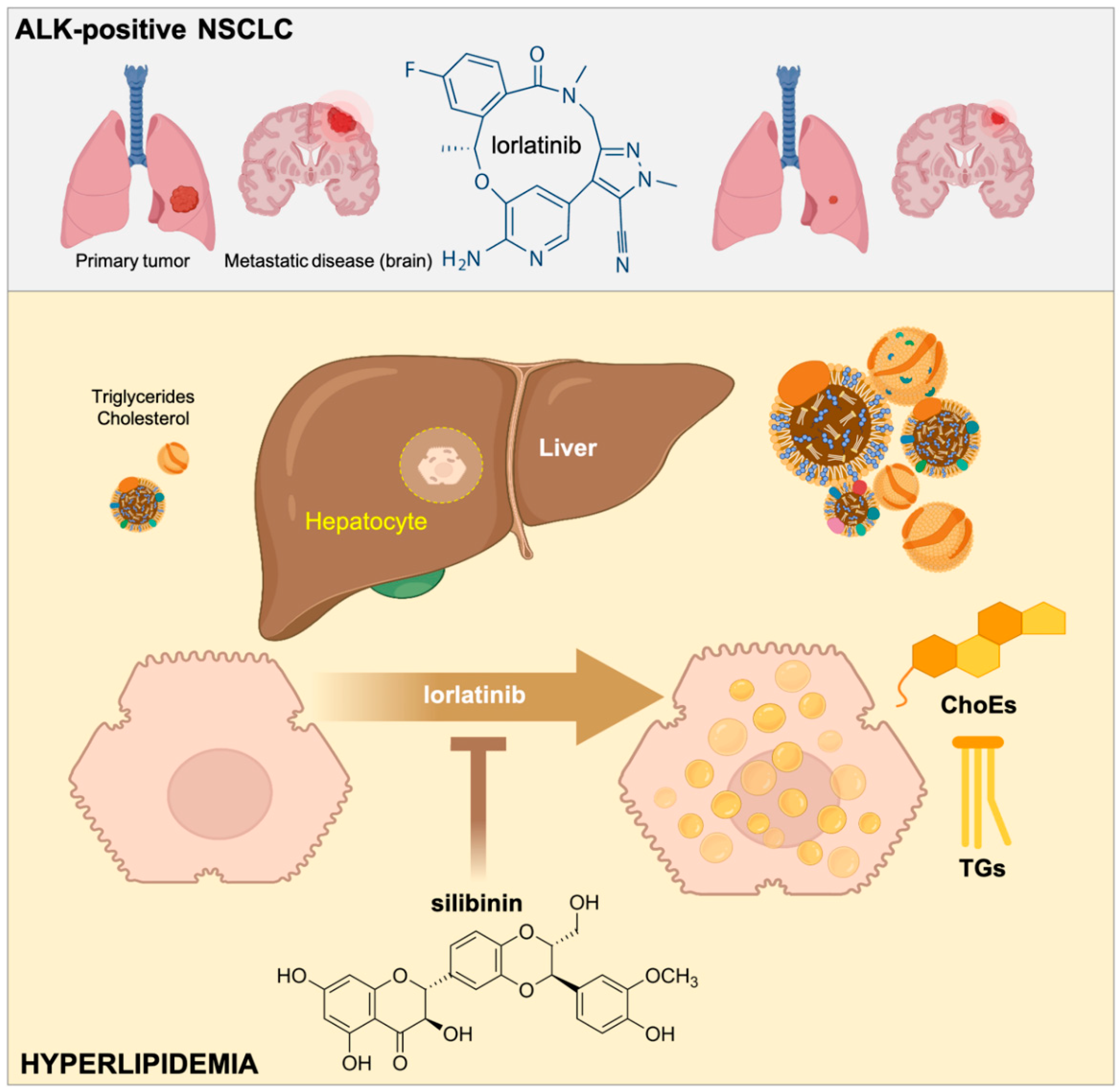Silibinin Suppresses The Hyperlipidemic Effects Of The ALK Tyrosine Silibinin Suppresses The Hyperlipidemic Effects Of The ALK Tyrosine
