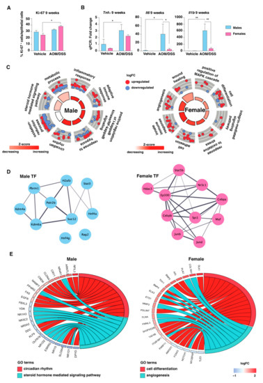 Ijms Special Issue Immunity And Inflammation In Health And Disease Insights Into Sex Based 2293