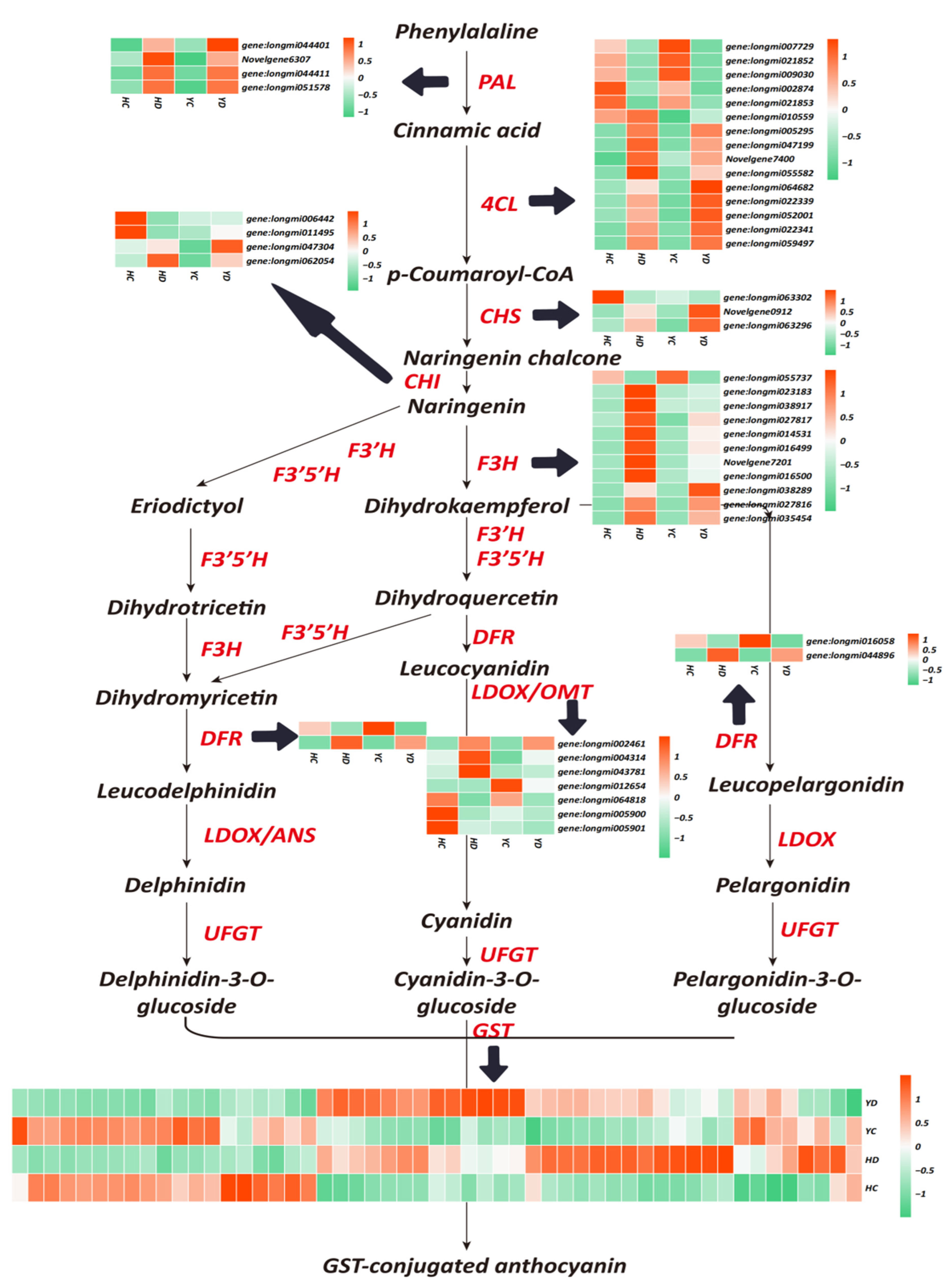 IJMS | Free Full-Text | Transcriptome Sequencing and Metabolome 
