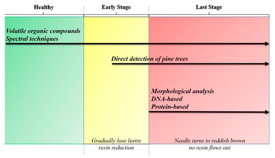 IJMS | Free Full-Text | The Detection of Pine Wilt Disease: A ...