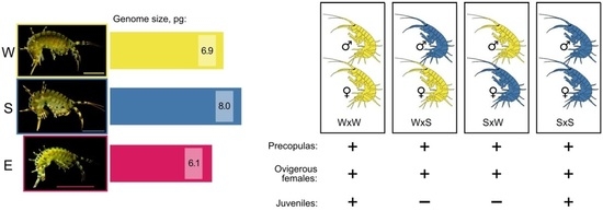 SOLVED: Activity 1: The Concept of Species Directions: Using the graphic  organizer below, describe what is meant by a species. Definition Ecological  Unit Reproductive Community SPECIES Genetical Unit