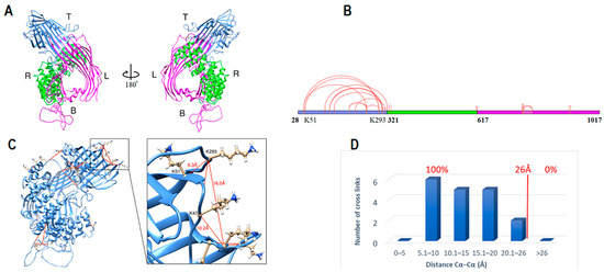 IJMS | Free Full-Text | A New Structural Model of Apolipoprotein