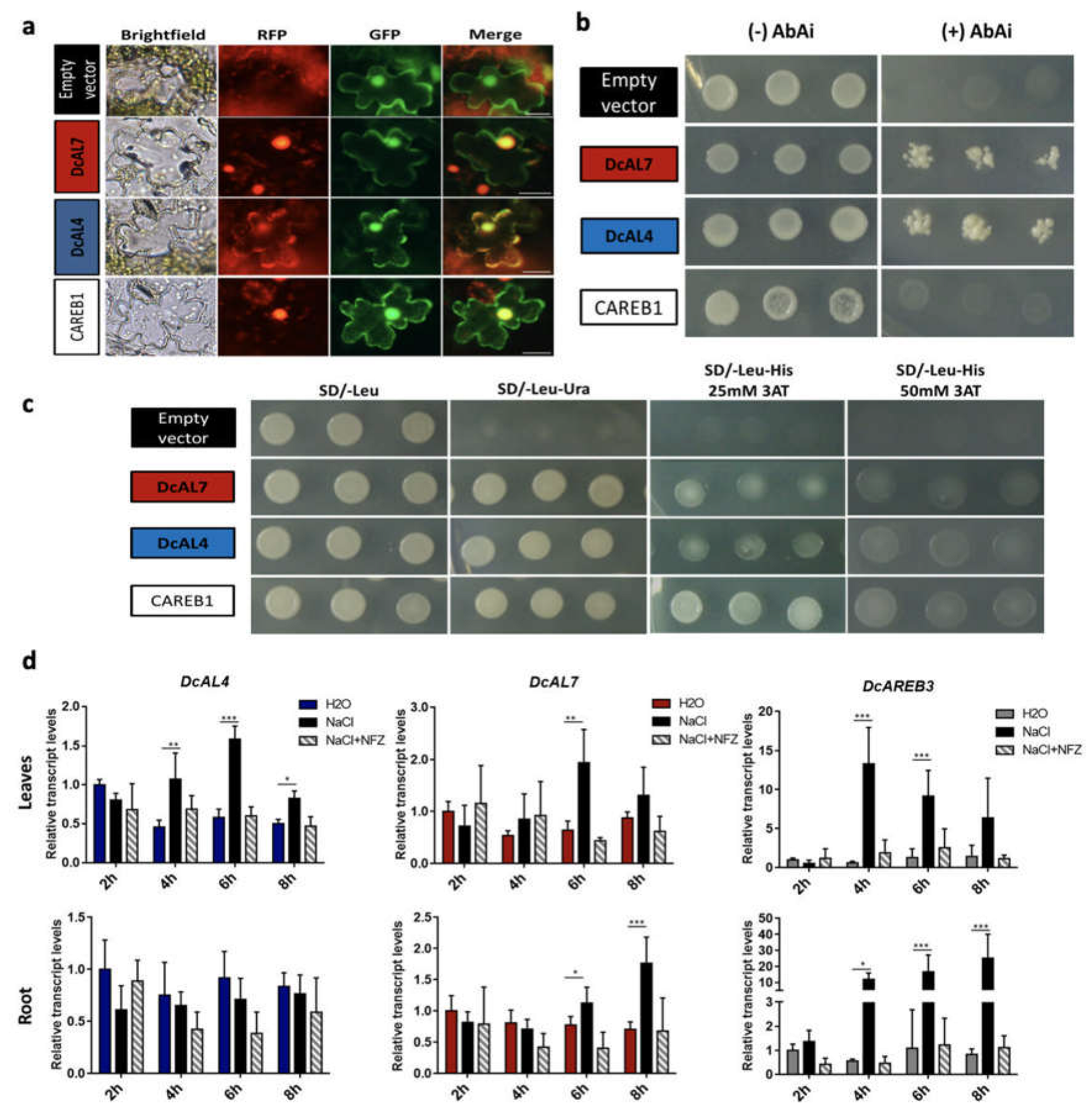 IJMS | Free Full-Text | Carrot DcALFIN4 And DcALFIN7 Transcription ...