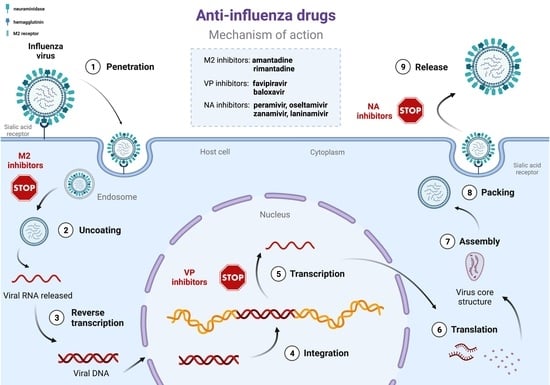 What are the key differences between Oseltamivir and other antiviral medications? What are the key differences between Oseltamivir and other antiviral medications?