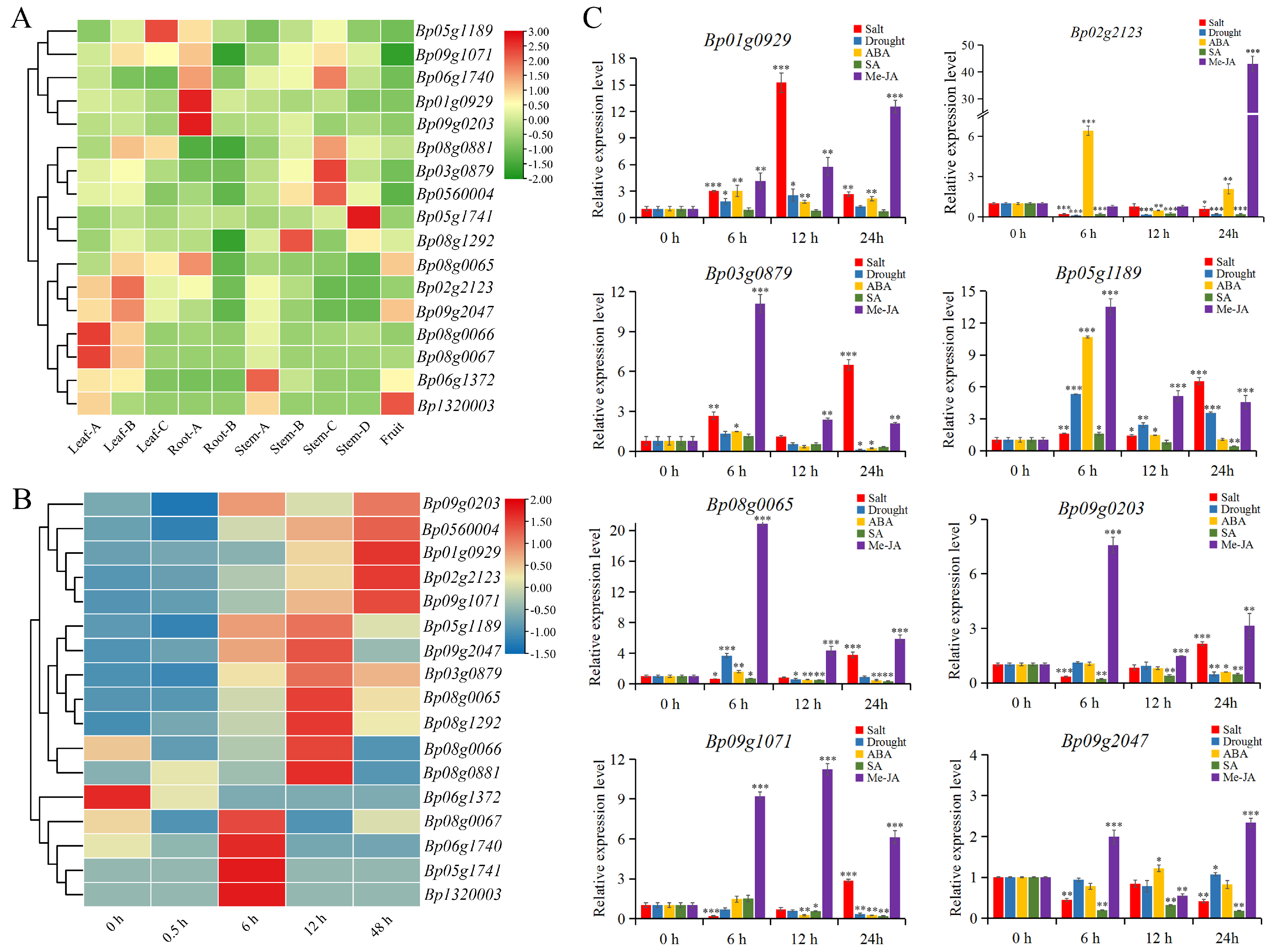 IJMS | Free Full-Text | Identification and Investigation of the Genetic ...