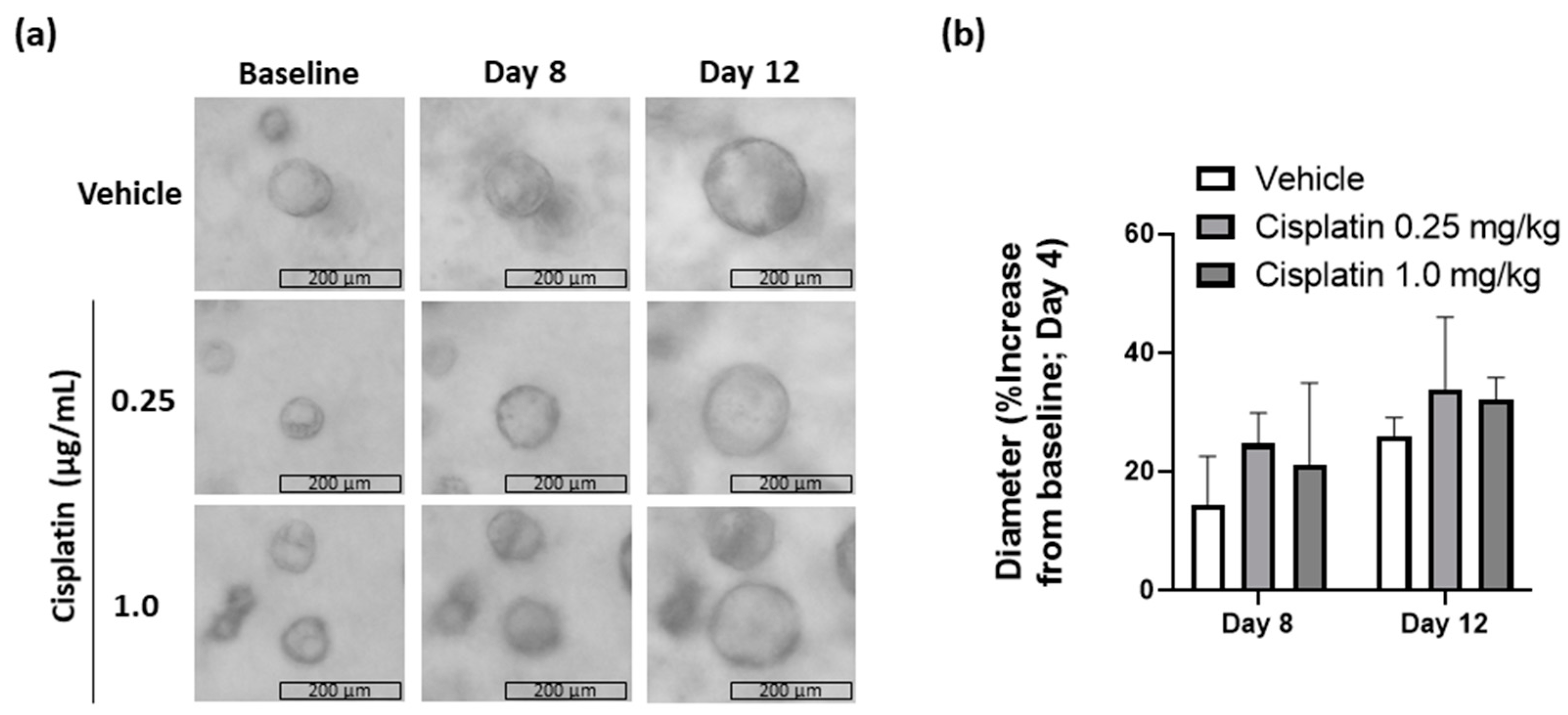 IJMS | Free Full-Text | Kidney Cyst Lining Epithelial Cells Are ...