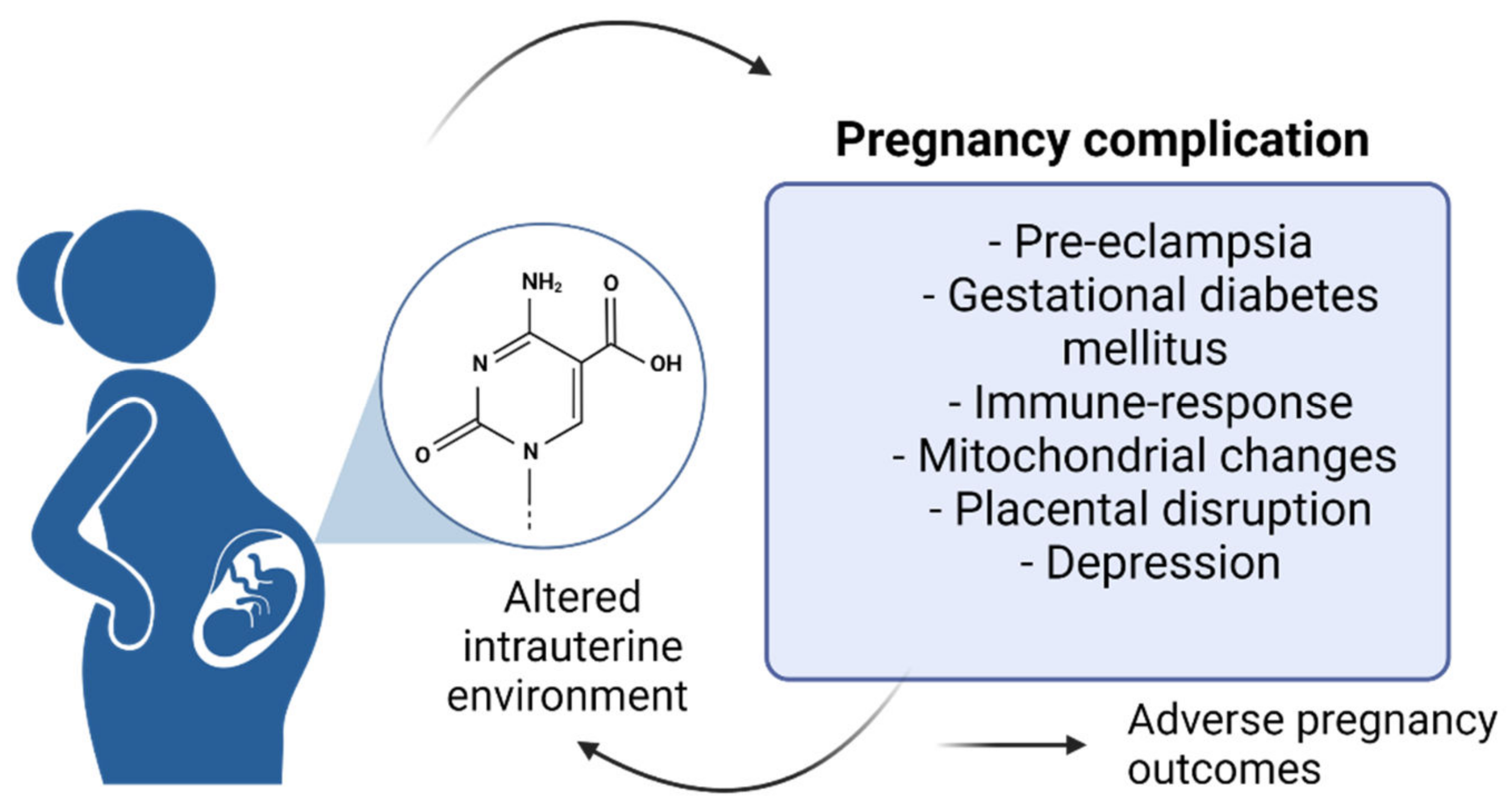 Epigenetics And Pregnancy Conditional Snapshot Or Rolling Event Epigenetics And Pregnancy Conditional Snapshot Or Rolling Event