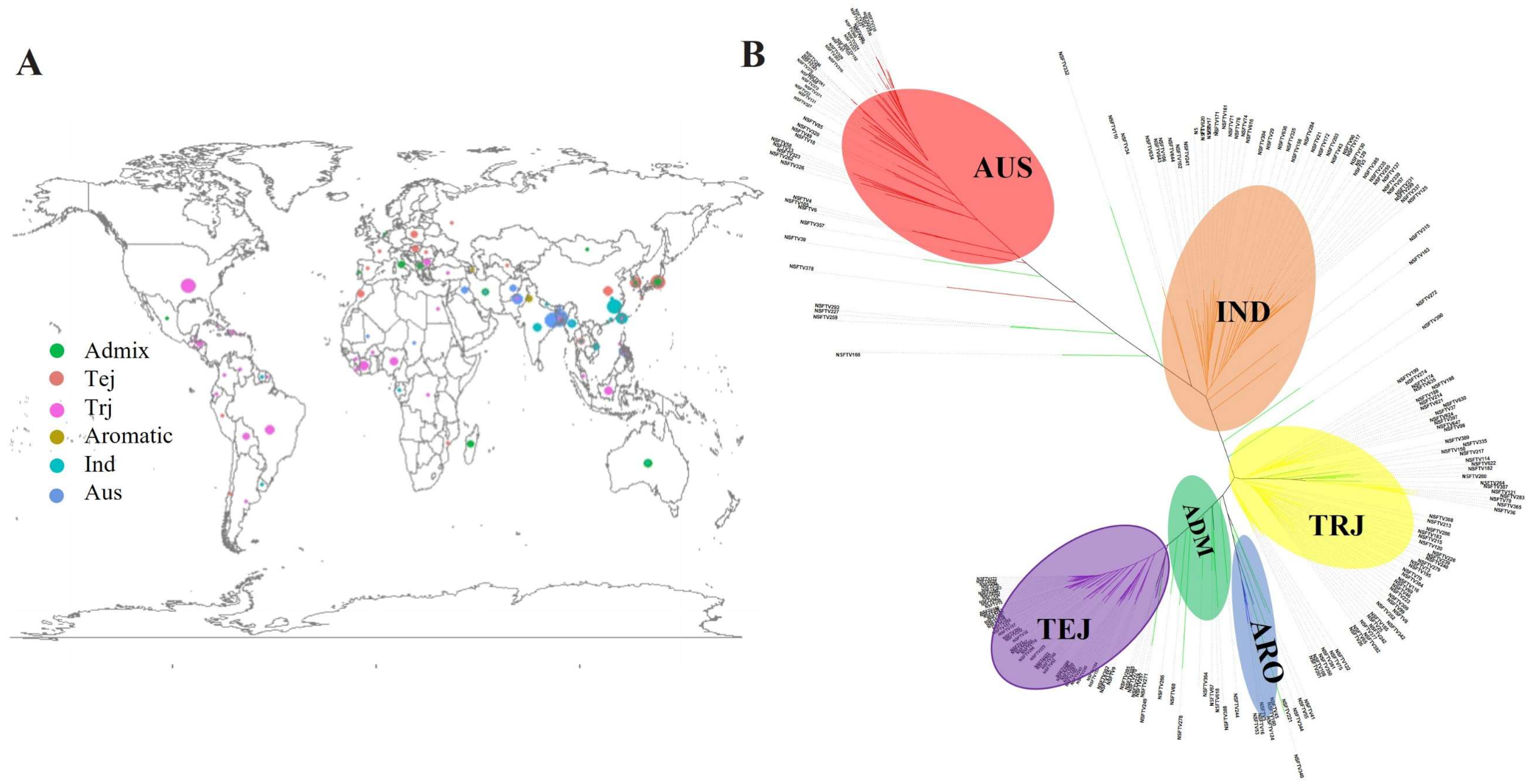 IJMS | Free Full-Text | Genome-Wide Association Study Identifies a 