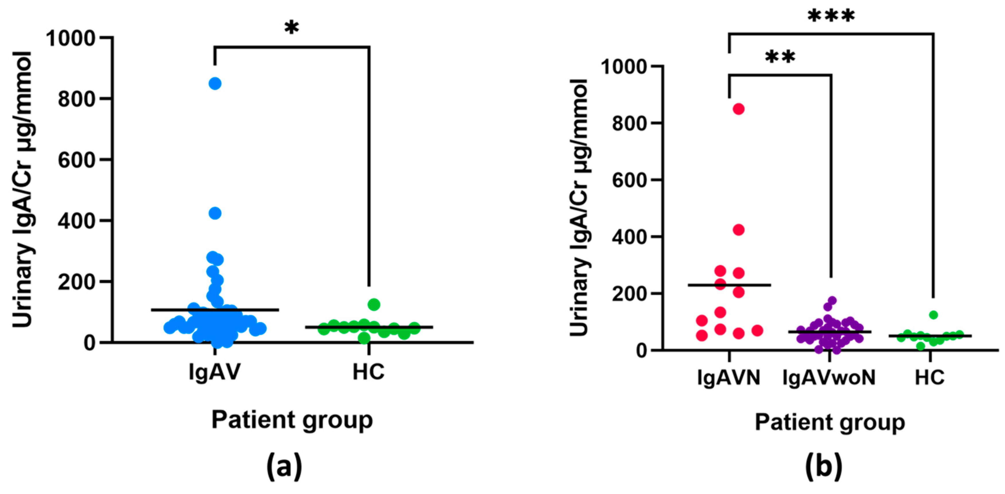 Increased Urinary IgA in Paediatric IgA Vasculitis Nephritis