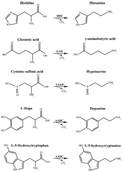 A Simple and Efficient Method for the Substrate Identification of Amino ...