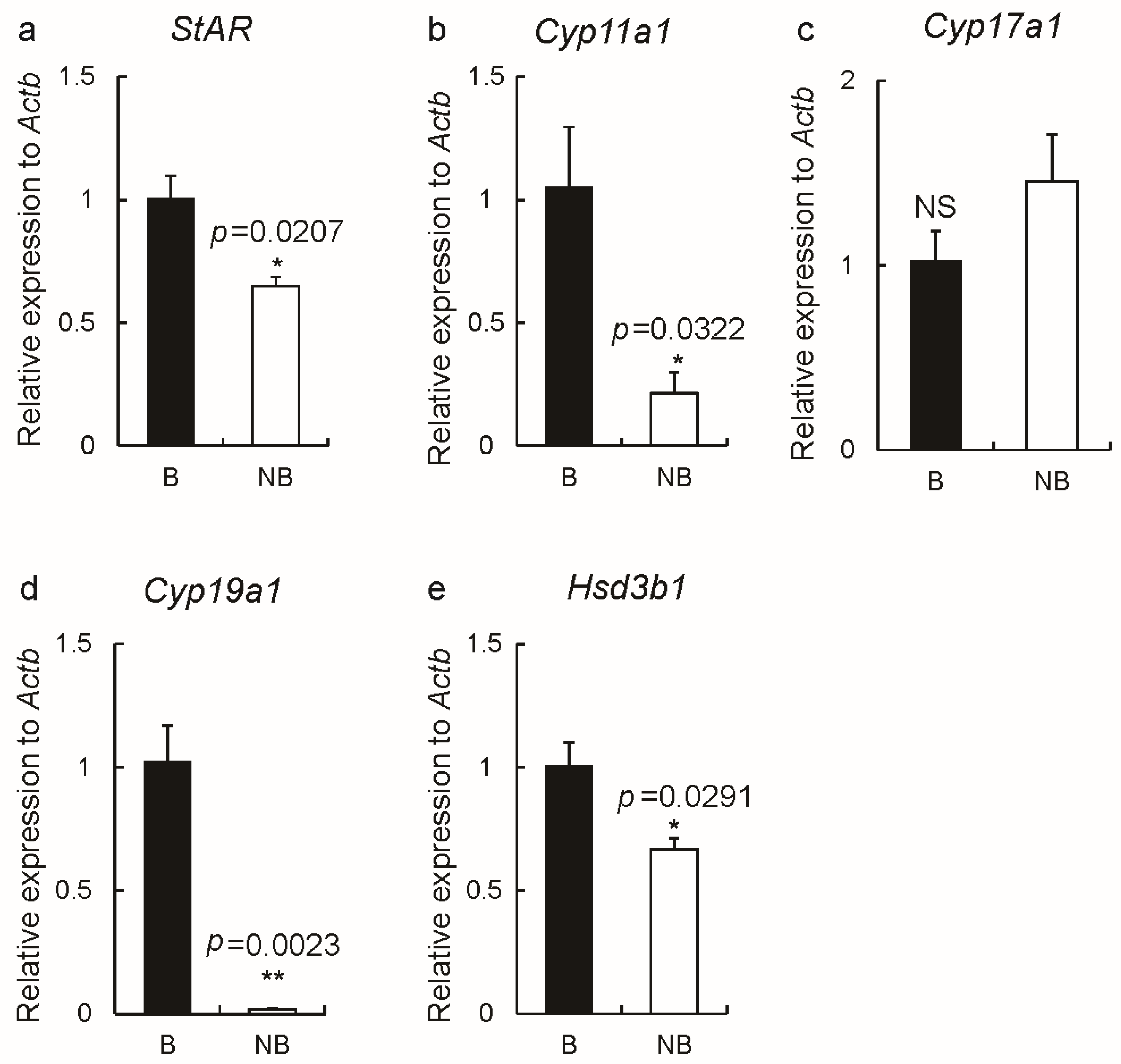 IJMS | Free Full-Text | Seasonal Change in Adiponectin Associated with