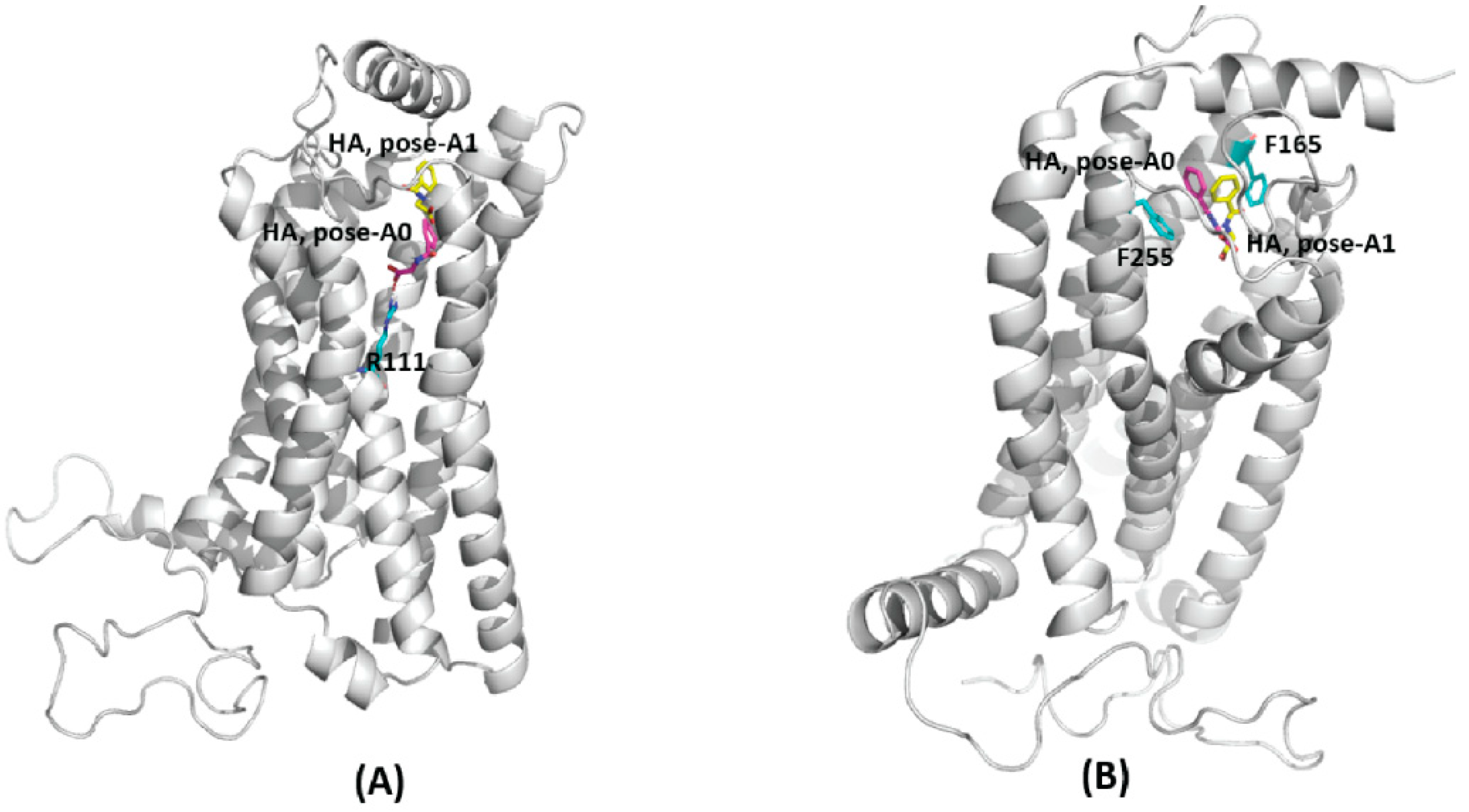 IJMS | Free Full-Text | Exploring GPR109A Receptor Interaction With ...