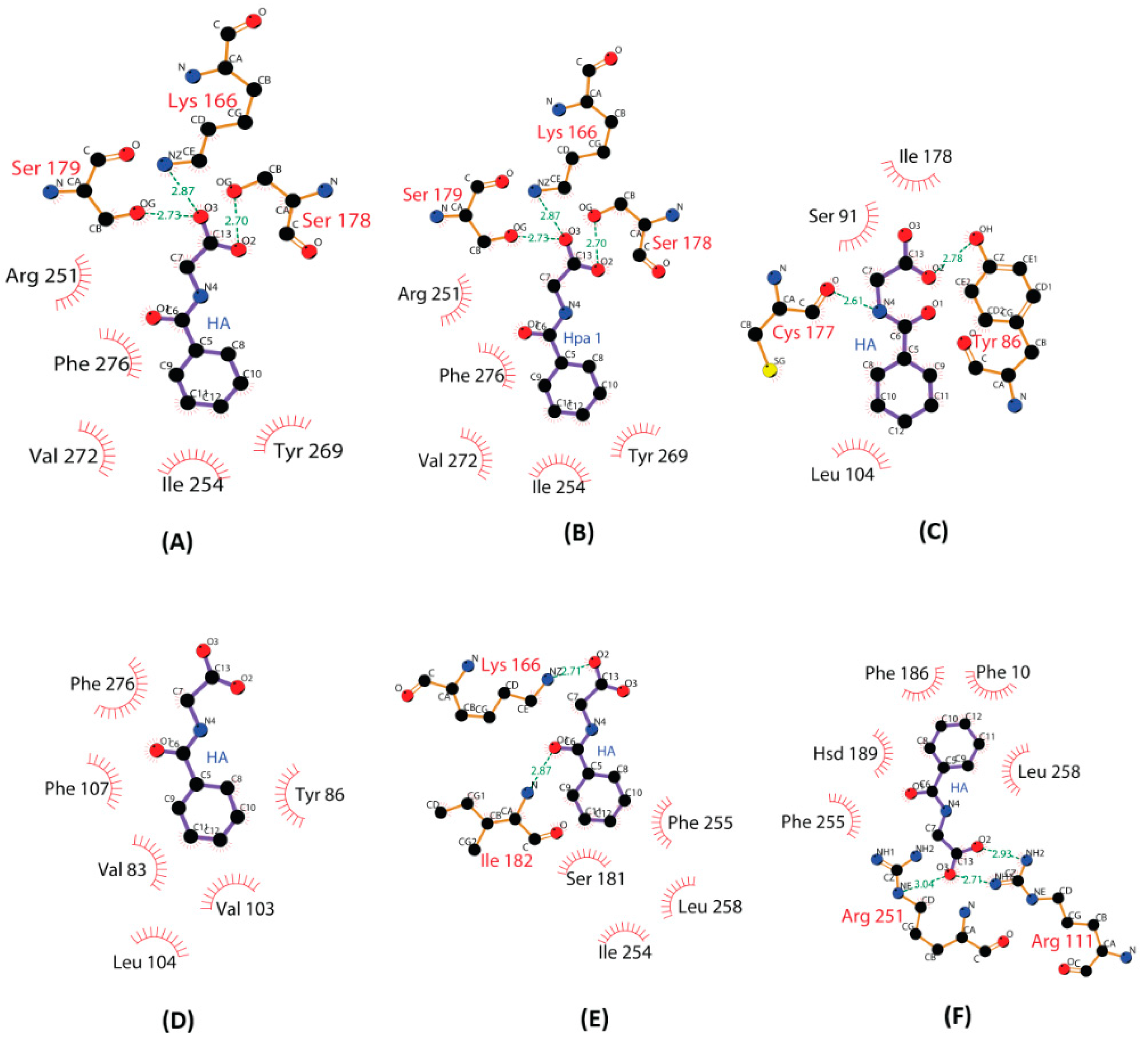 IJMS | Free Full-Text | Exploring GPR109A Receptor Interaction With ...