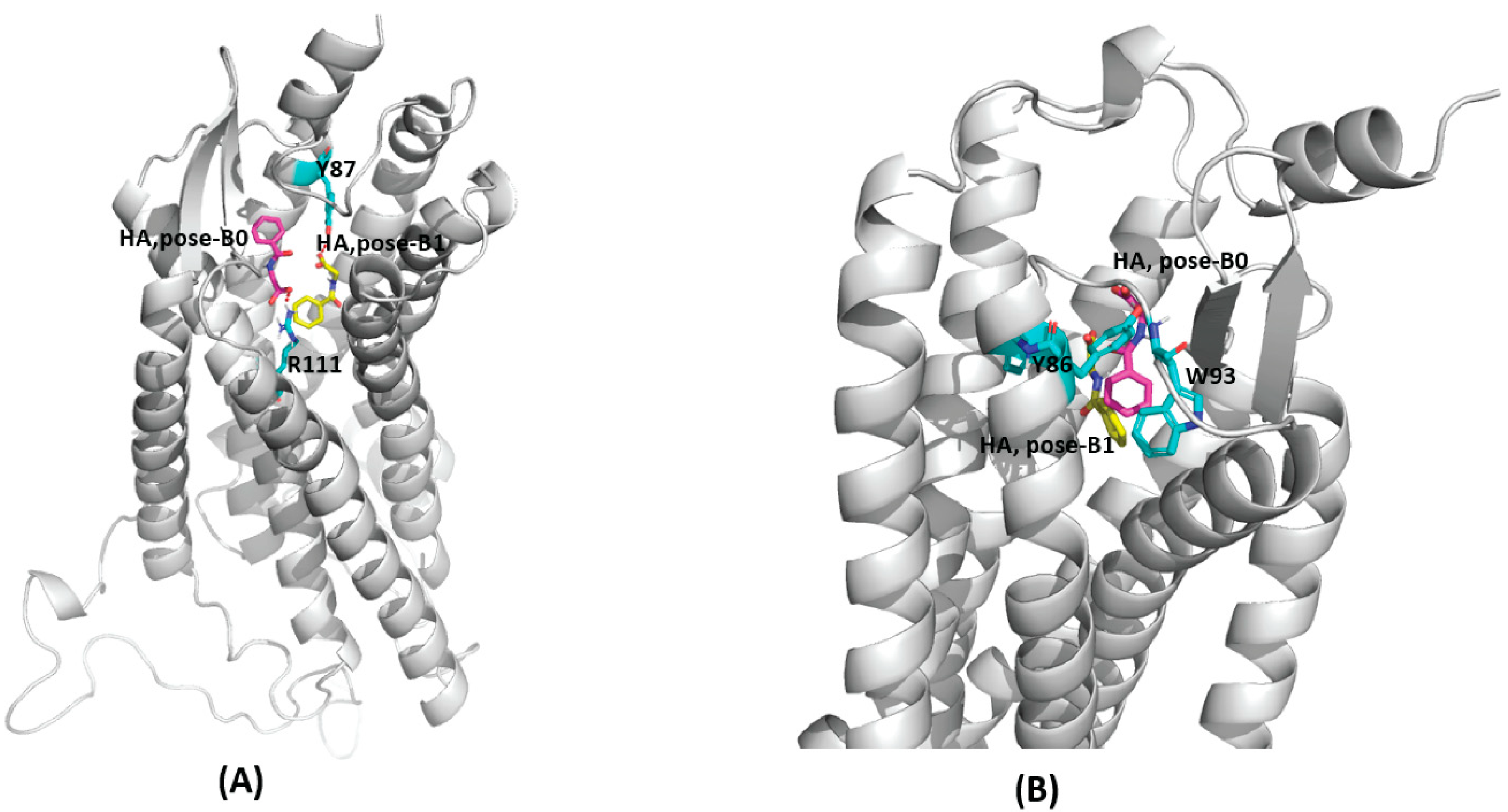 IJMS | Free Full-Text | Exploring GPR109A Receptor Interaction With ...