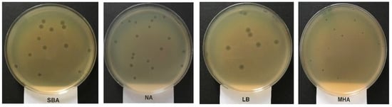 IJMS Free Full Text Characterization And Genomic Analysis Of   Ijms 23 14846 G001 550 