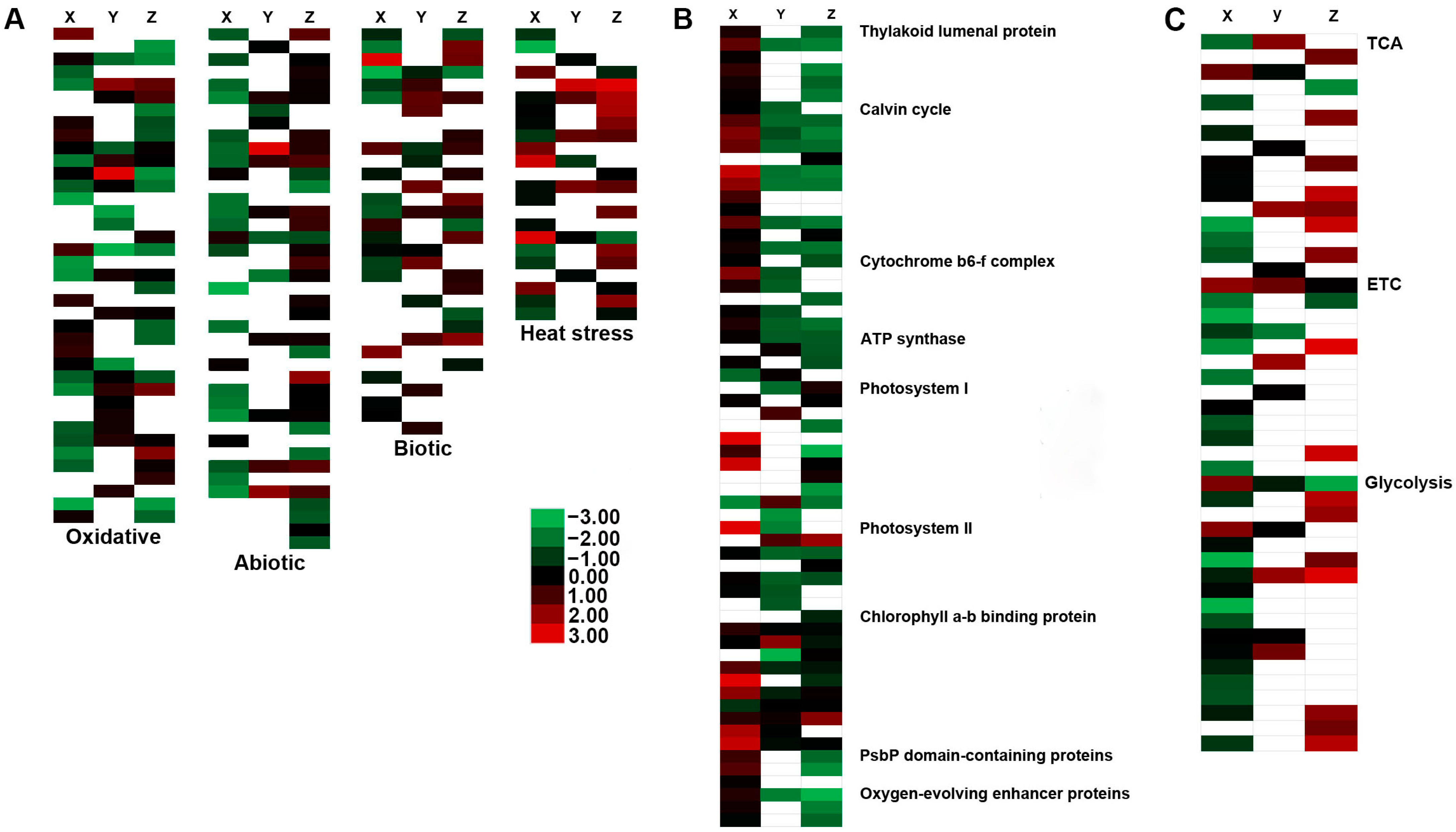 IJMS | Free Full-Text | Integrative Omics Analysis Of Three Oil Palm ...