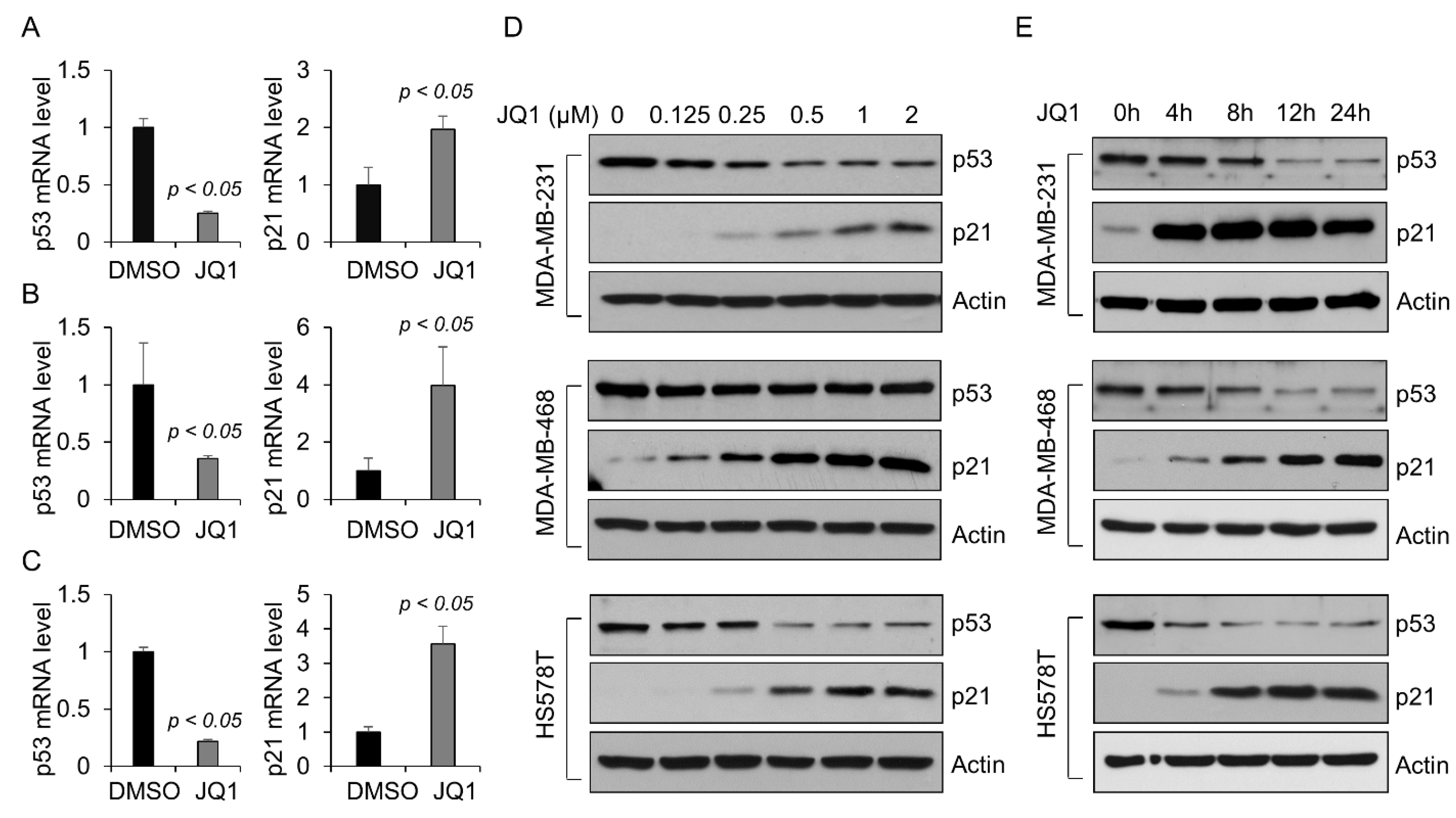 IJMS | Free Full-Text | Bromodomain Protein BRD4-Mediated Mutant P53 ...