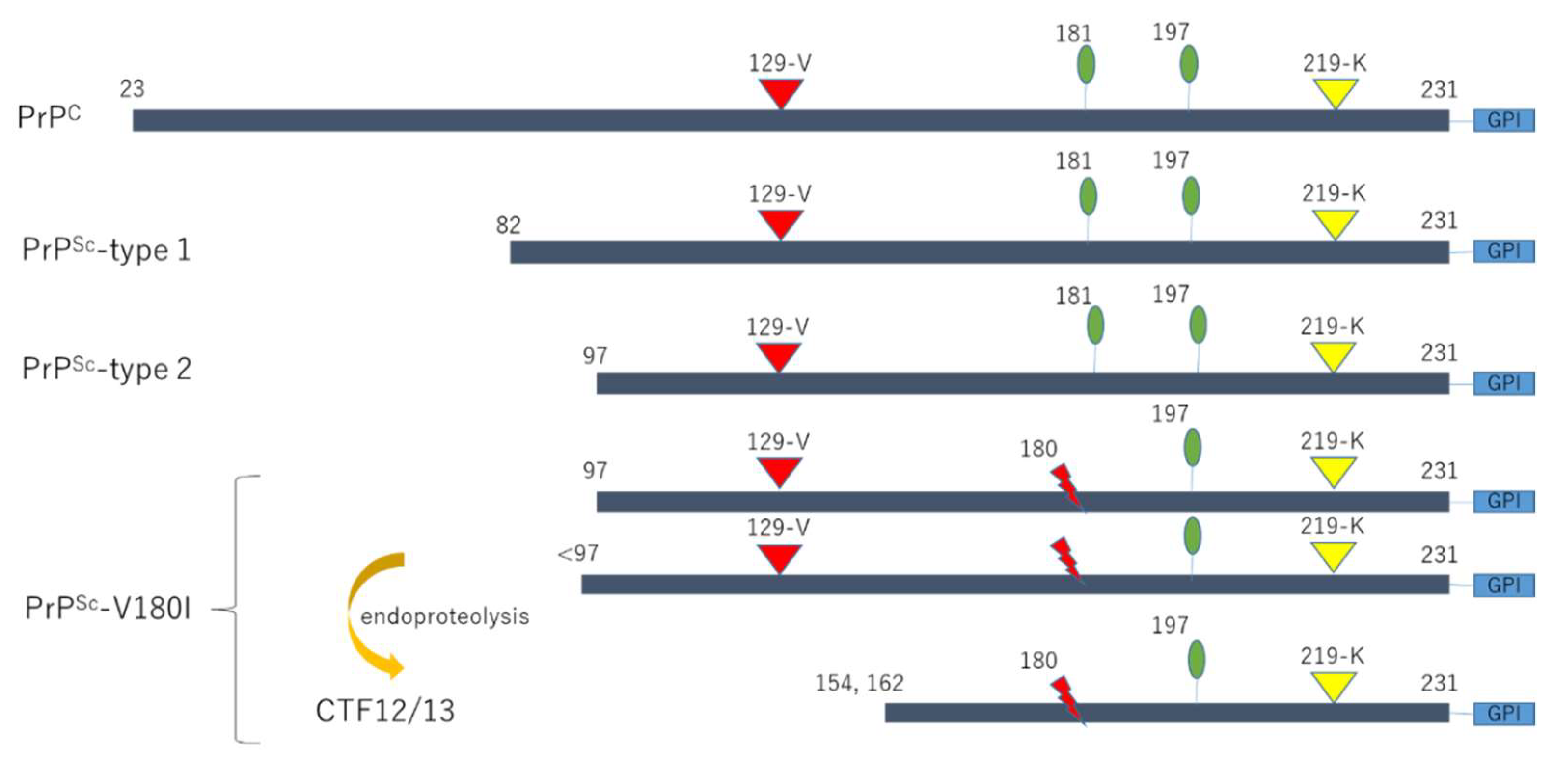 Systematic Review Of Clinical And Pathophysiological Features Of Systematic Review Of Clinical And Pathophysiological Features Of