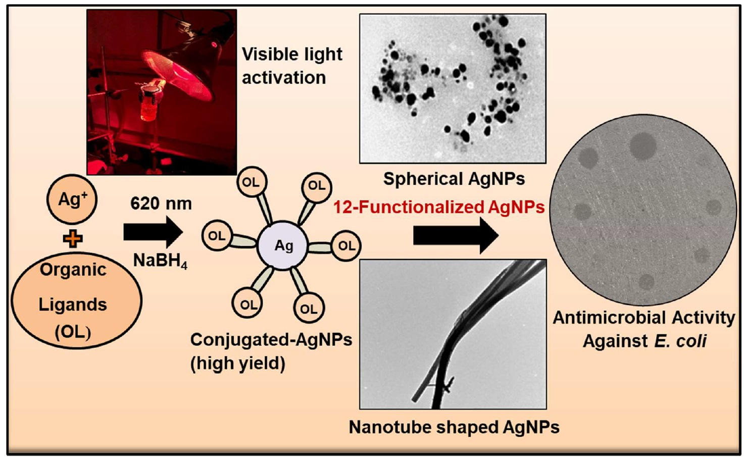 silver nanoparticles literature review