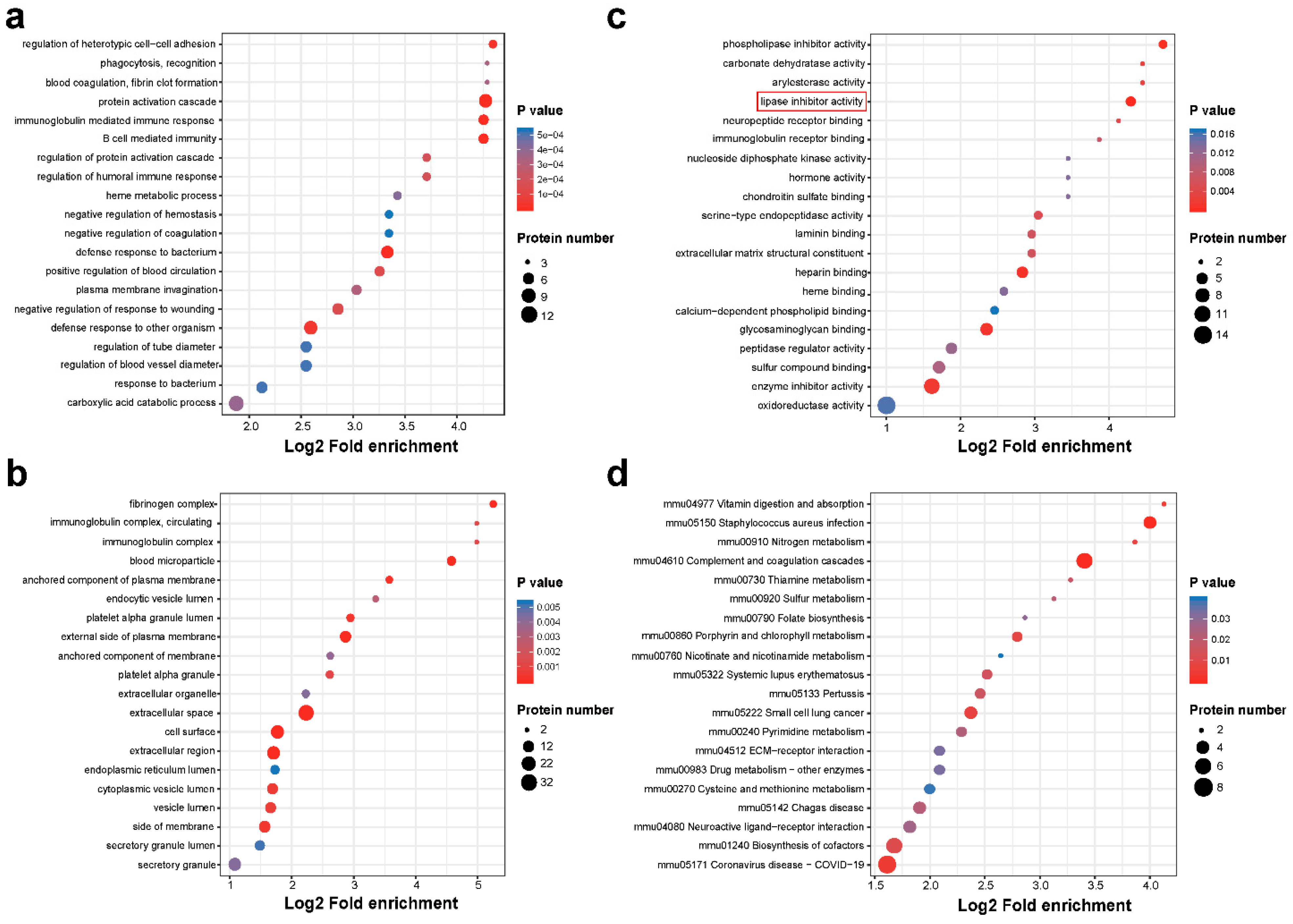 IJMS | Free Full-Text | Proteomic-Based Approach Reveals The ...