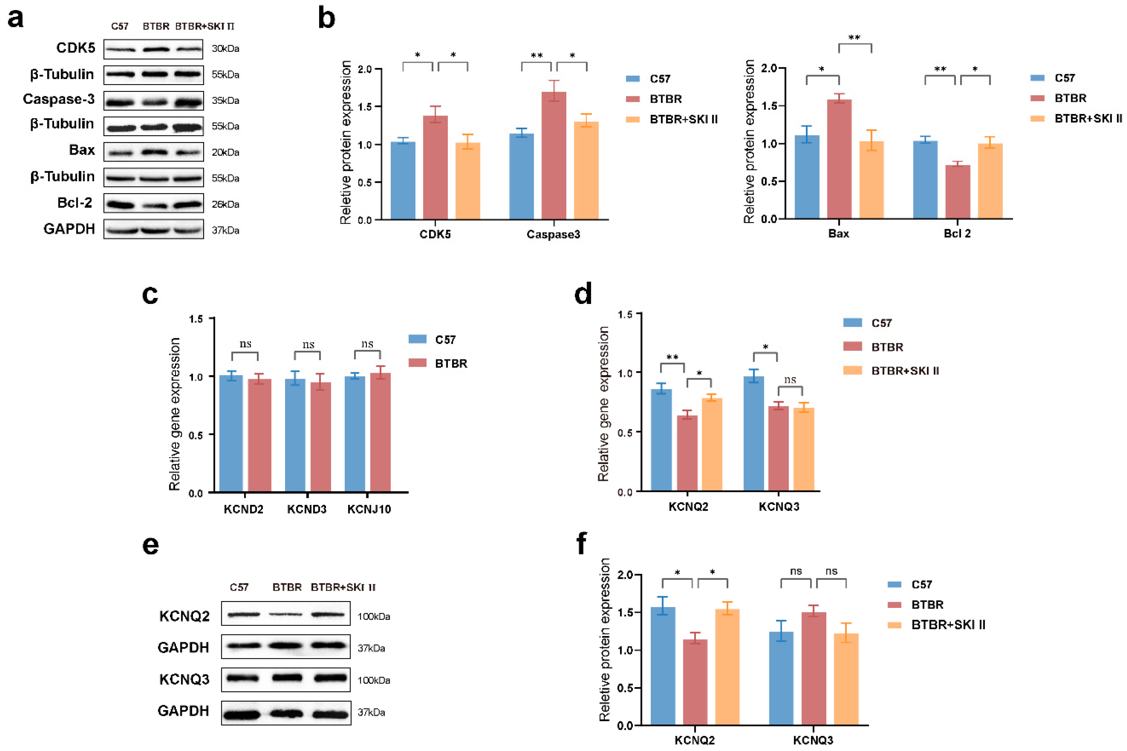 IJMS | Free Full-Text | Proteomic-Based Approach Reveals The ...