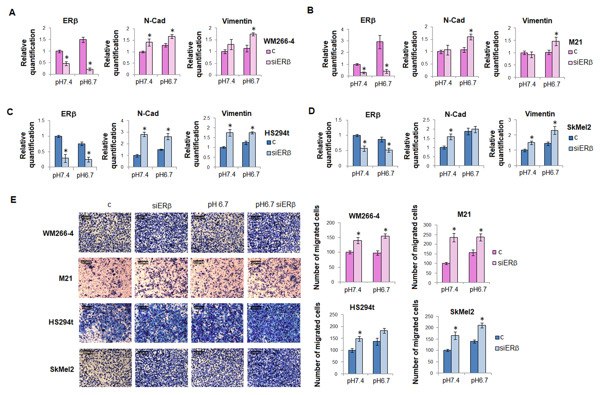 Ijms Free Full Text Extracellular Acidosis Differentially Regulates Estrogen Receptor β