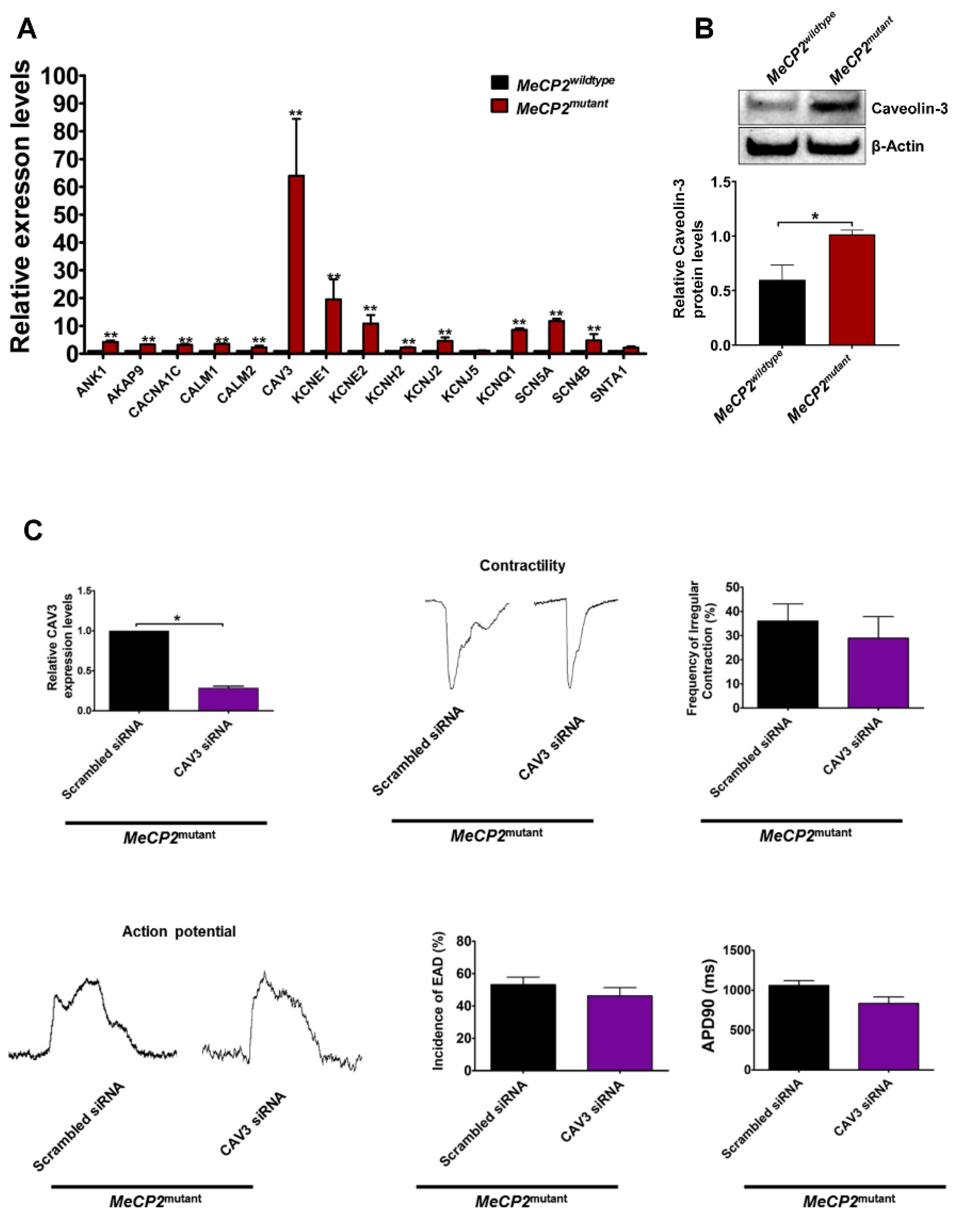 Ijms Free Full Text Isogenic Human Induced Pluripotent Stem Cell