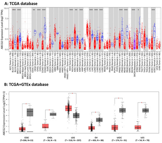 Ijms Free Full Text A Pan Cancer Landscape Of Abcg2 Across Human Cancers Friend Or Foe 6559