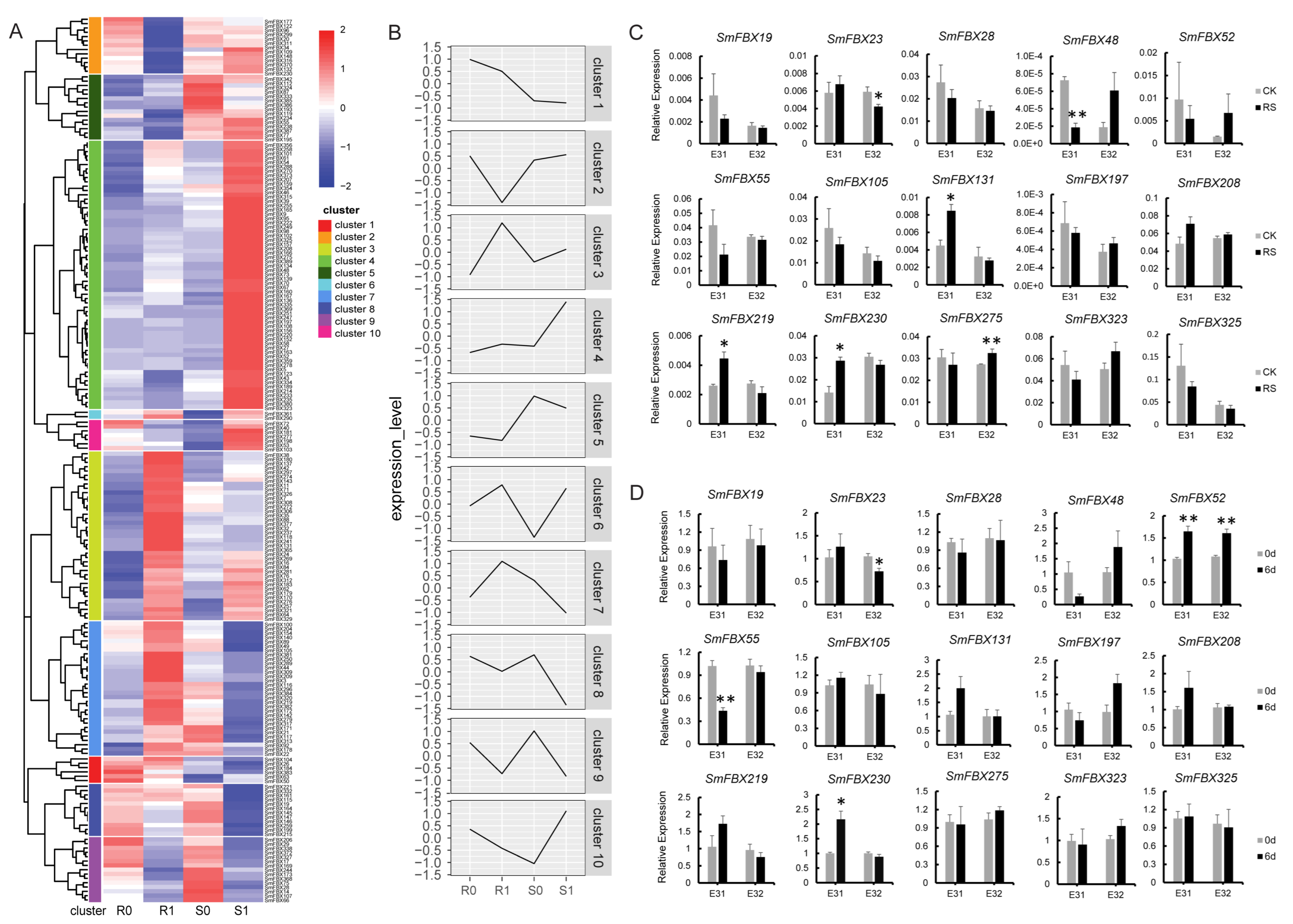 IJMS | Free Full-Text | Genome-Wide Analysis and Characterization 