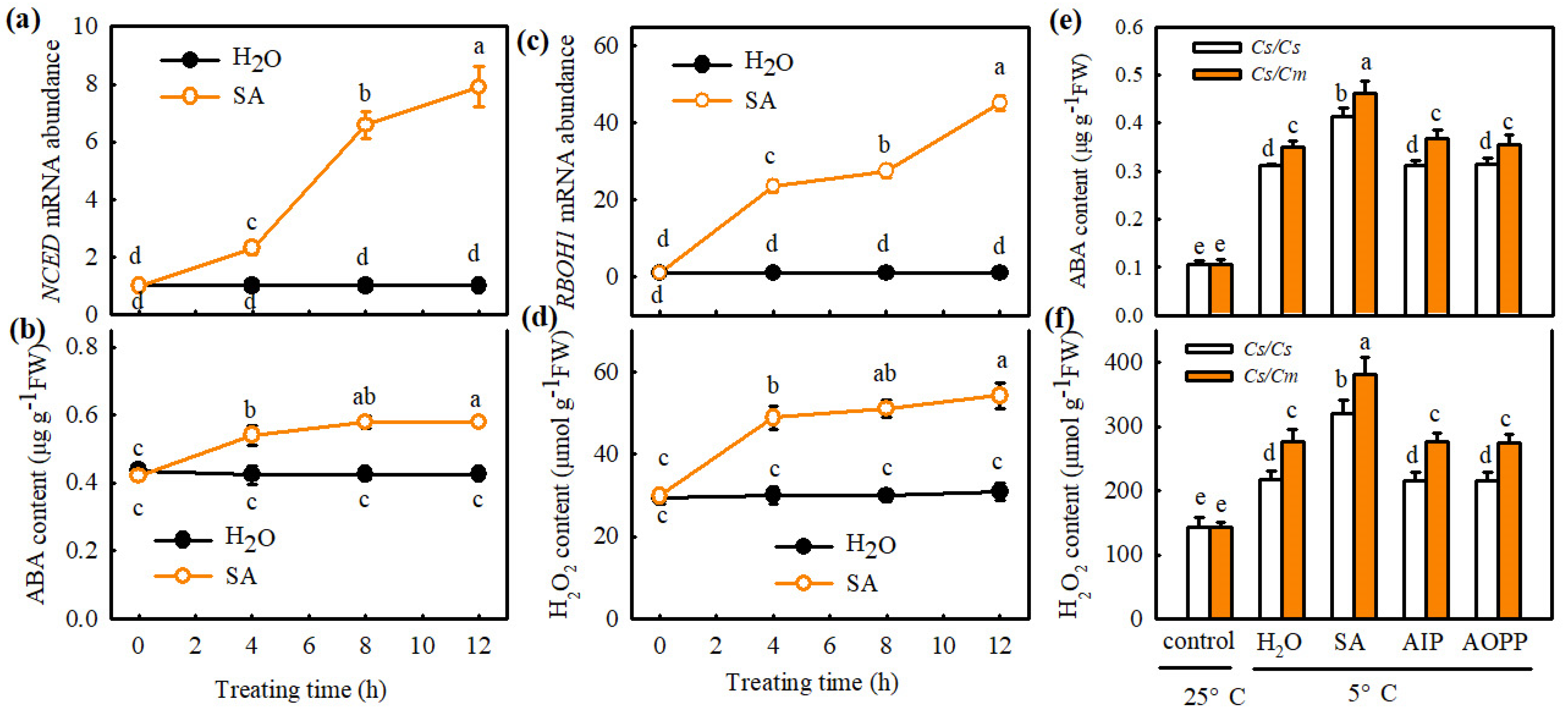 IJMS | Free Full-Text | Abscisic Acid Mediates Salicylic Acid Induced ...