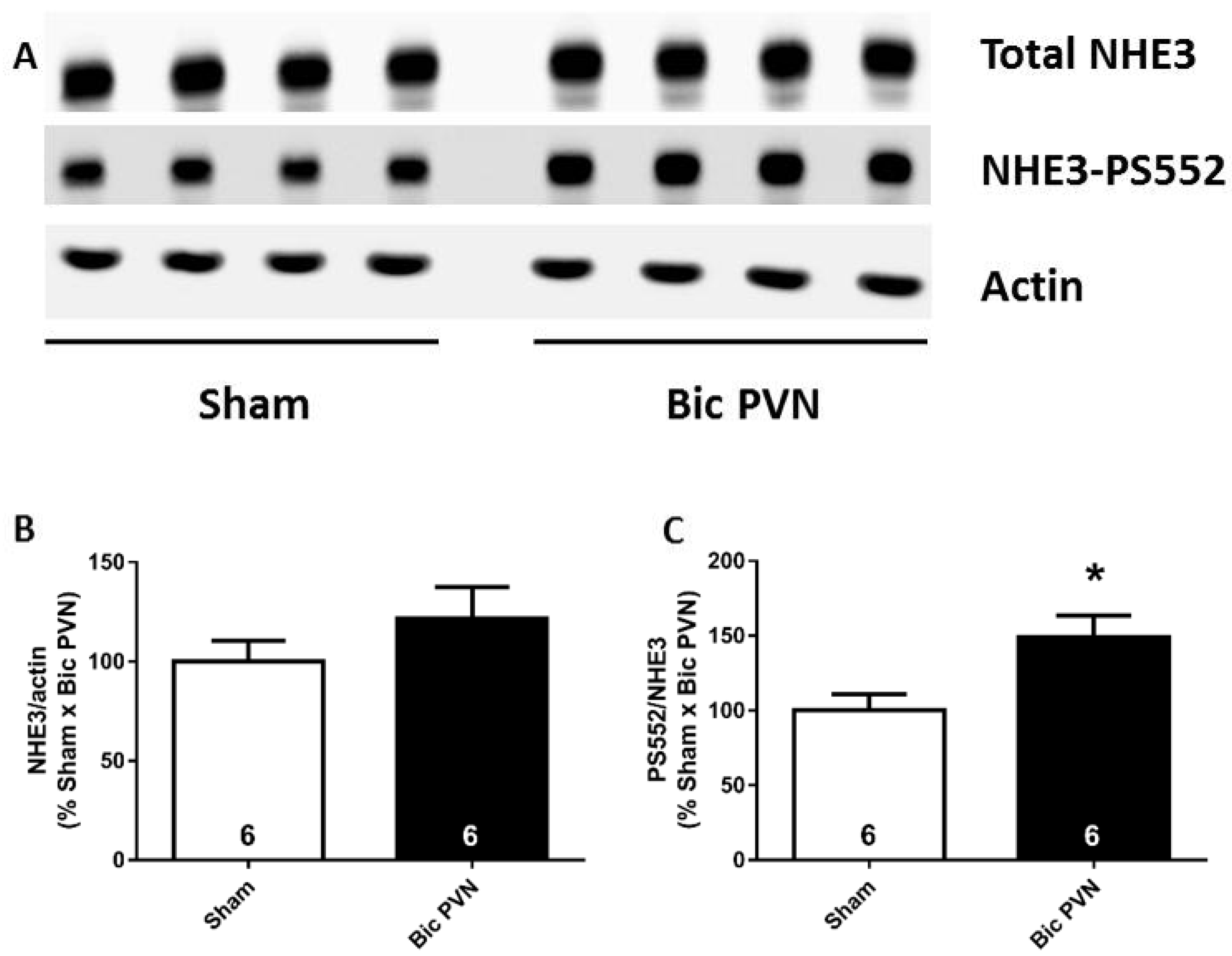 ijms-free-full-text-relative-contribution-of-blood-pressure-and