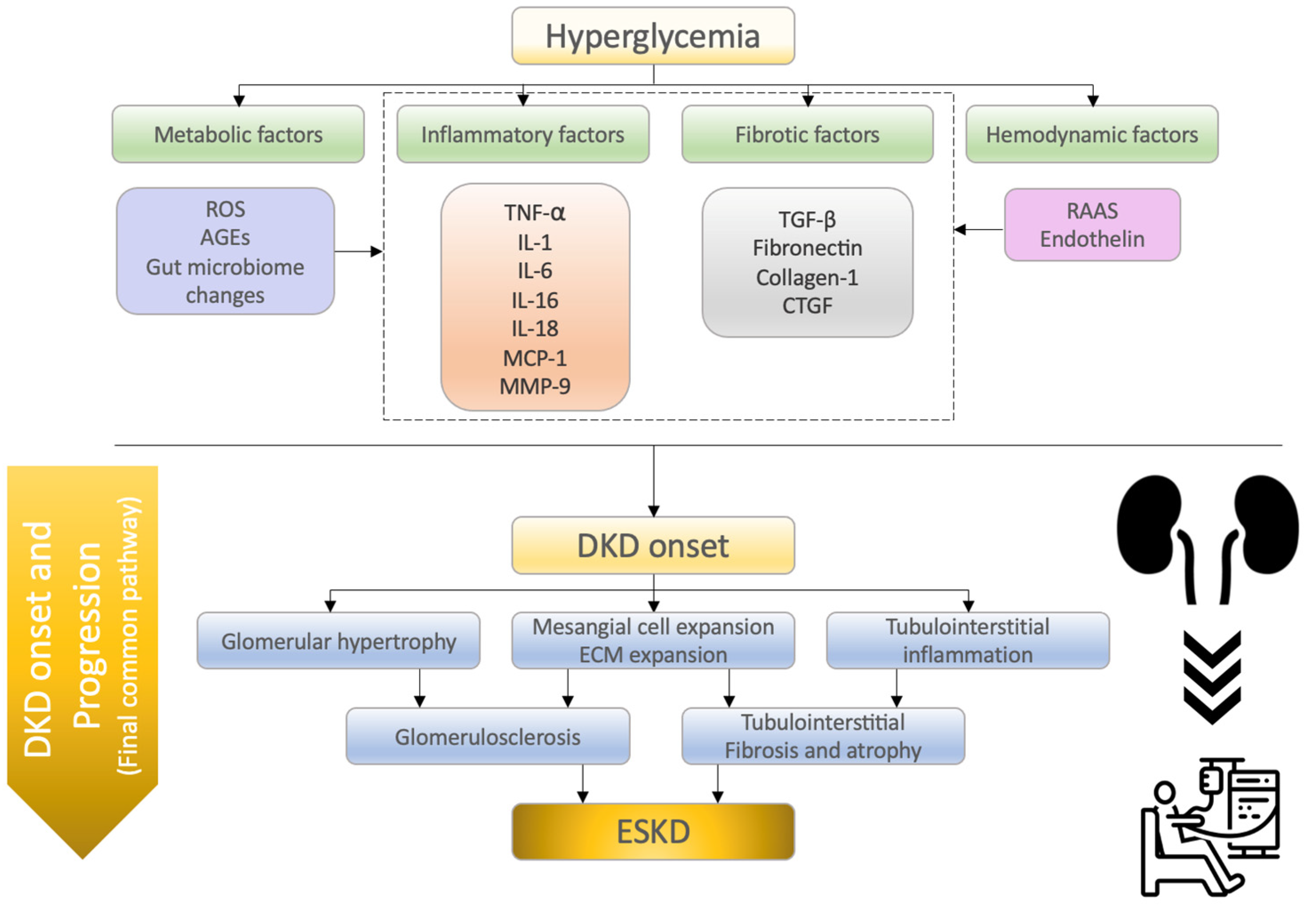 ijms-free-full-text-what-s-new-in-the-molecular-mechanisms-of