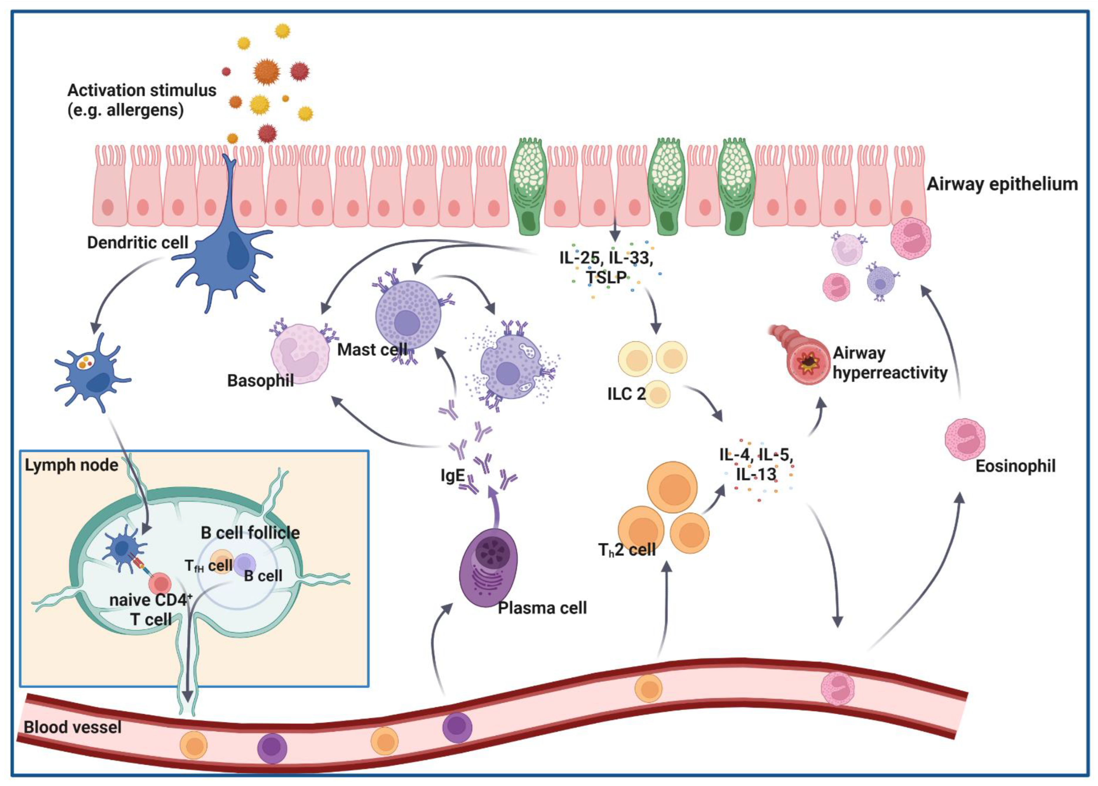 Molecular Mechanisms of Scombroid Food Poisoning
