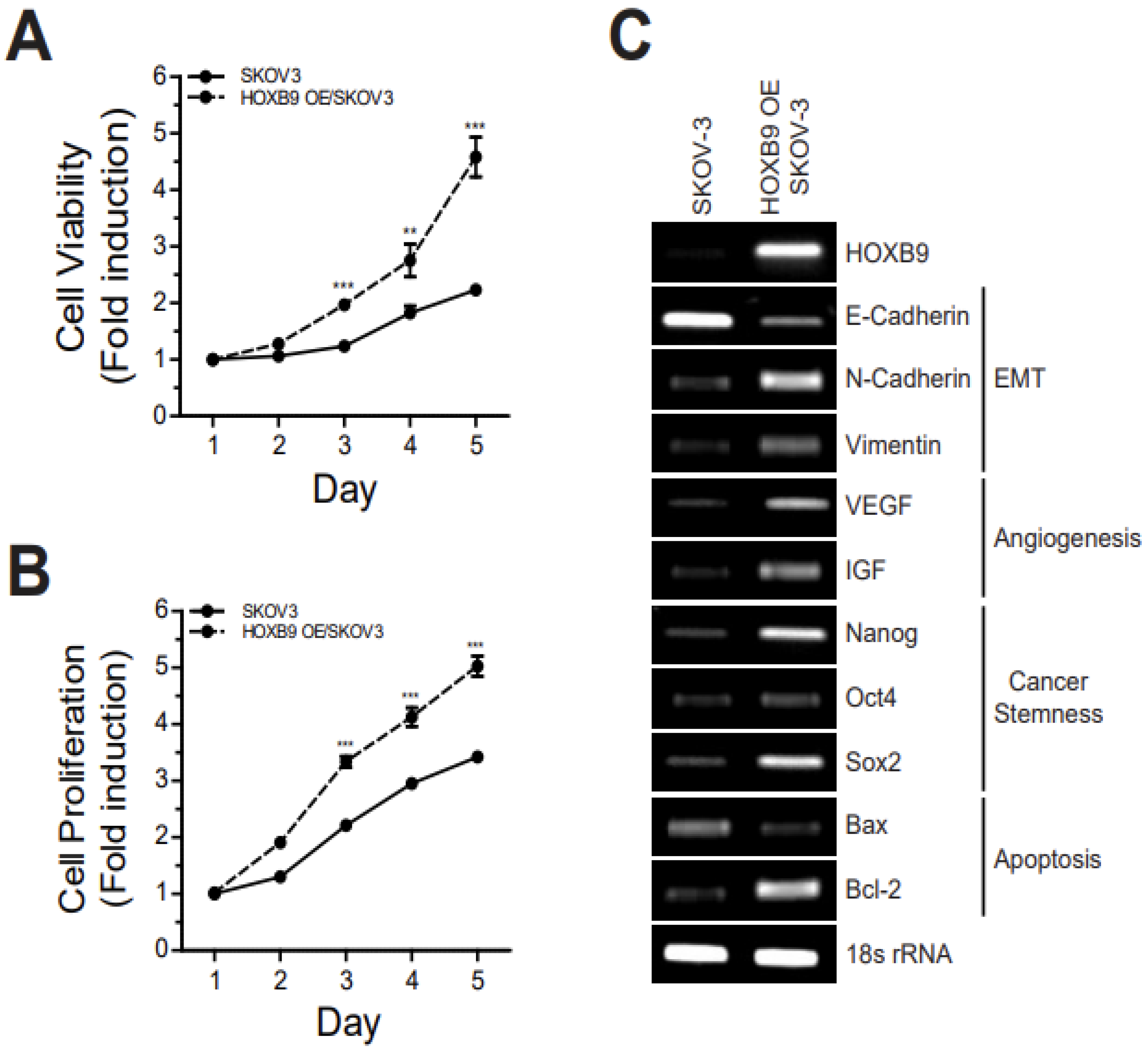 ijms-free-full-text-hoxb9-overexpression-confers-chemoresistance-to