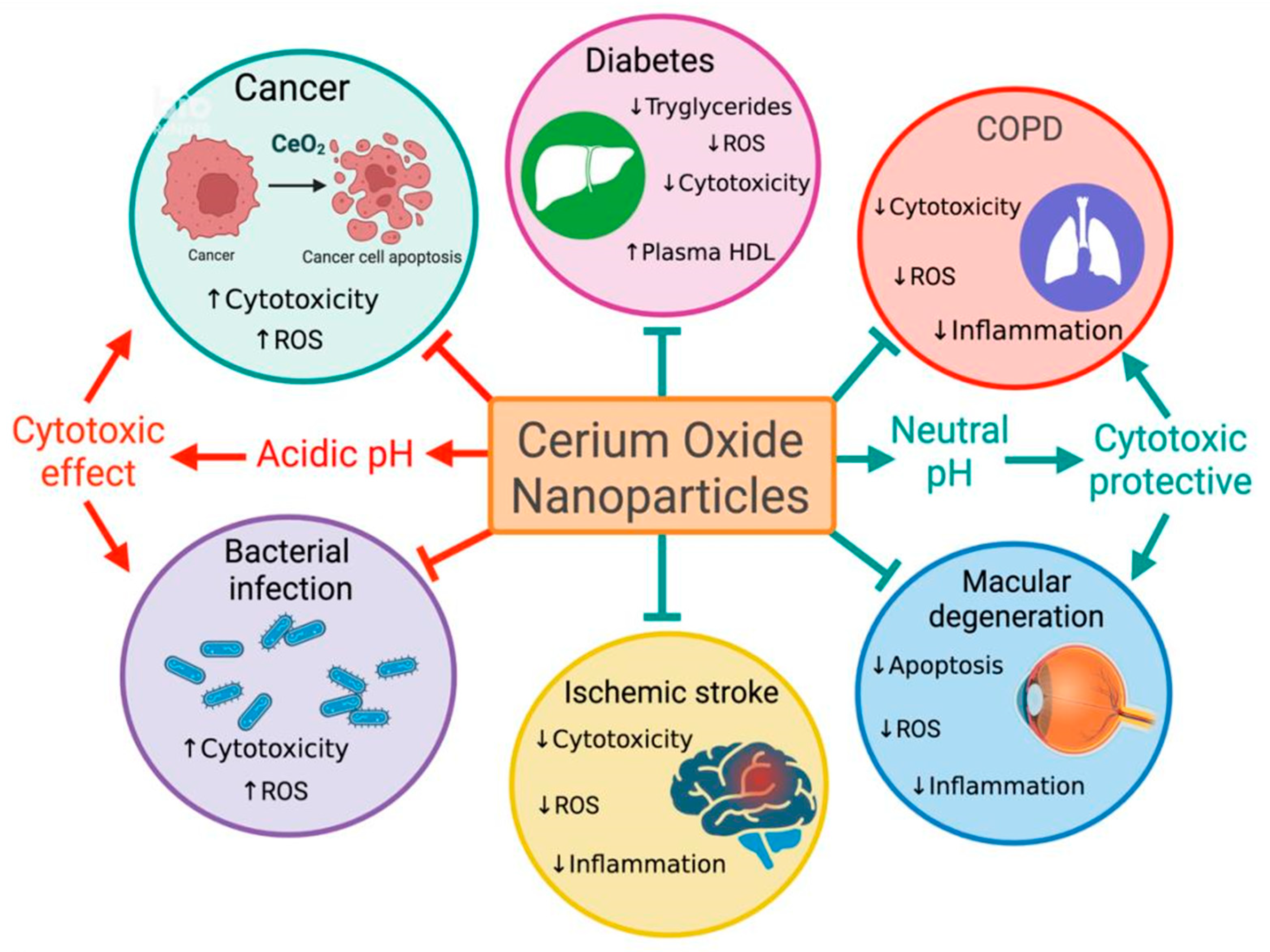 pH-Controlled Cerium Oxide Nanoparticle Inhibition of Both Gram-Positive  and Gram-Negative Bacteria Growth