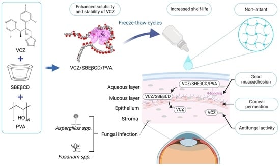 How does Voriconazole work against fungal infections? How does Voriconazole work against fungal infections?