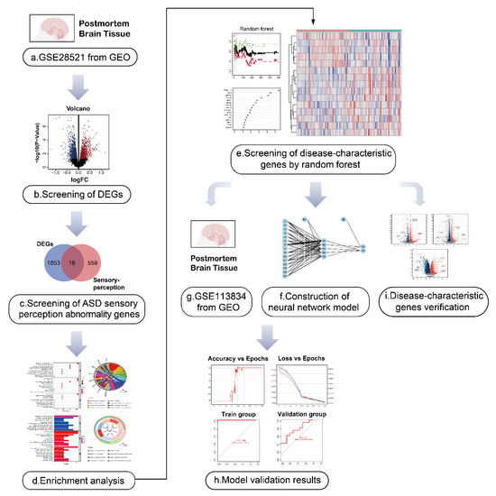 IJMS | Free Full-Text | Prediction Model for Sensory Perception ...