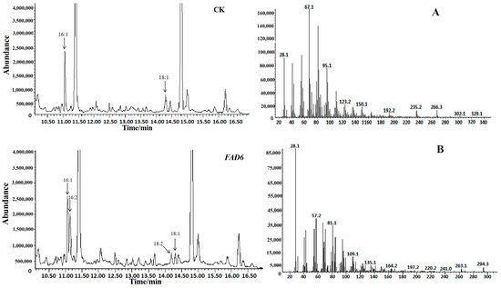 IJMS | Free Full-Text | Effects of Temperature and Salt Stress on the ...