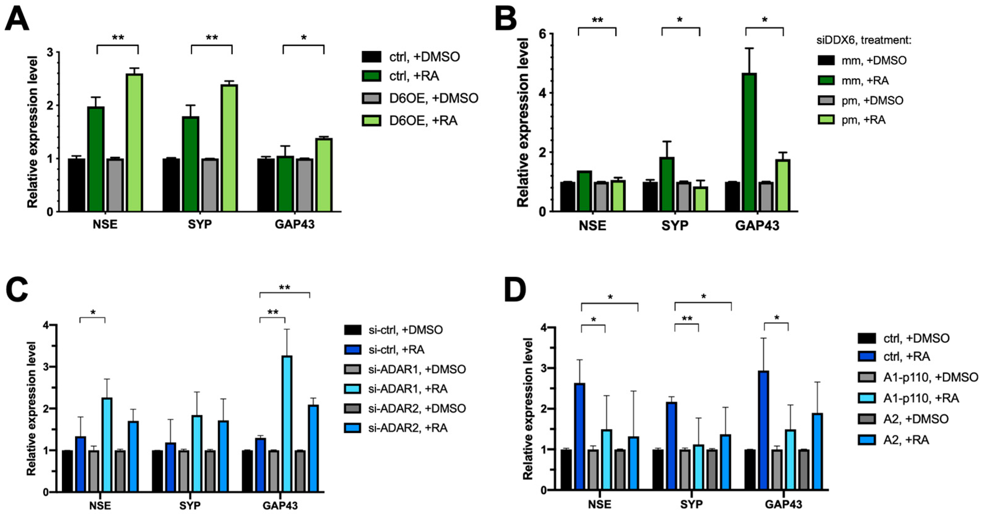 Ijms Free Full Text Rna Helicase Ddx6 Regulates A To I Editing And Neuronal Differentiation