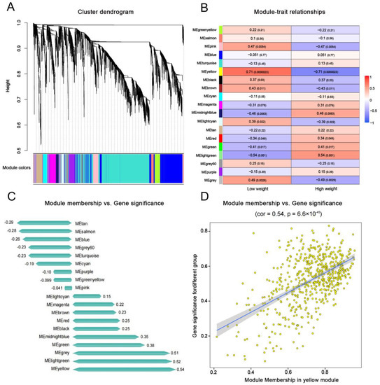 IJMS | Free Full-Text | Transcriptomics And Selection Pressure Analysis ...