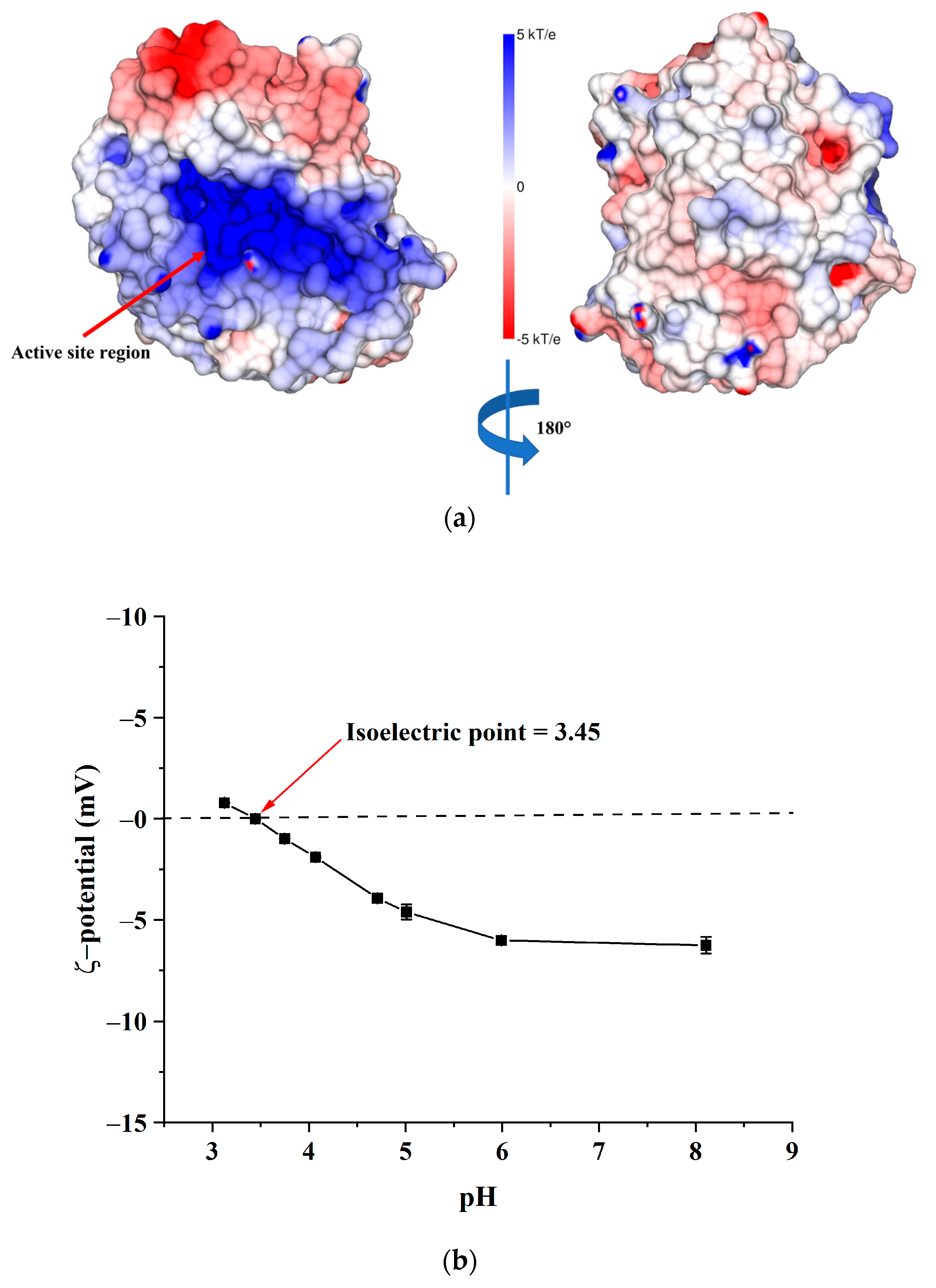 Cellulophaga algicola alginate lyase inhibits biofilm formation of a  clinical Pseudomonas aeruginosa strain MCC 2081 - Mahajan - 2021 - IUBMB  Life - Wiley Online Library