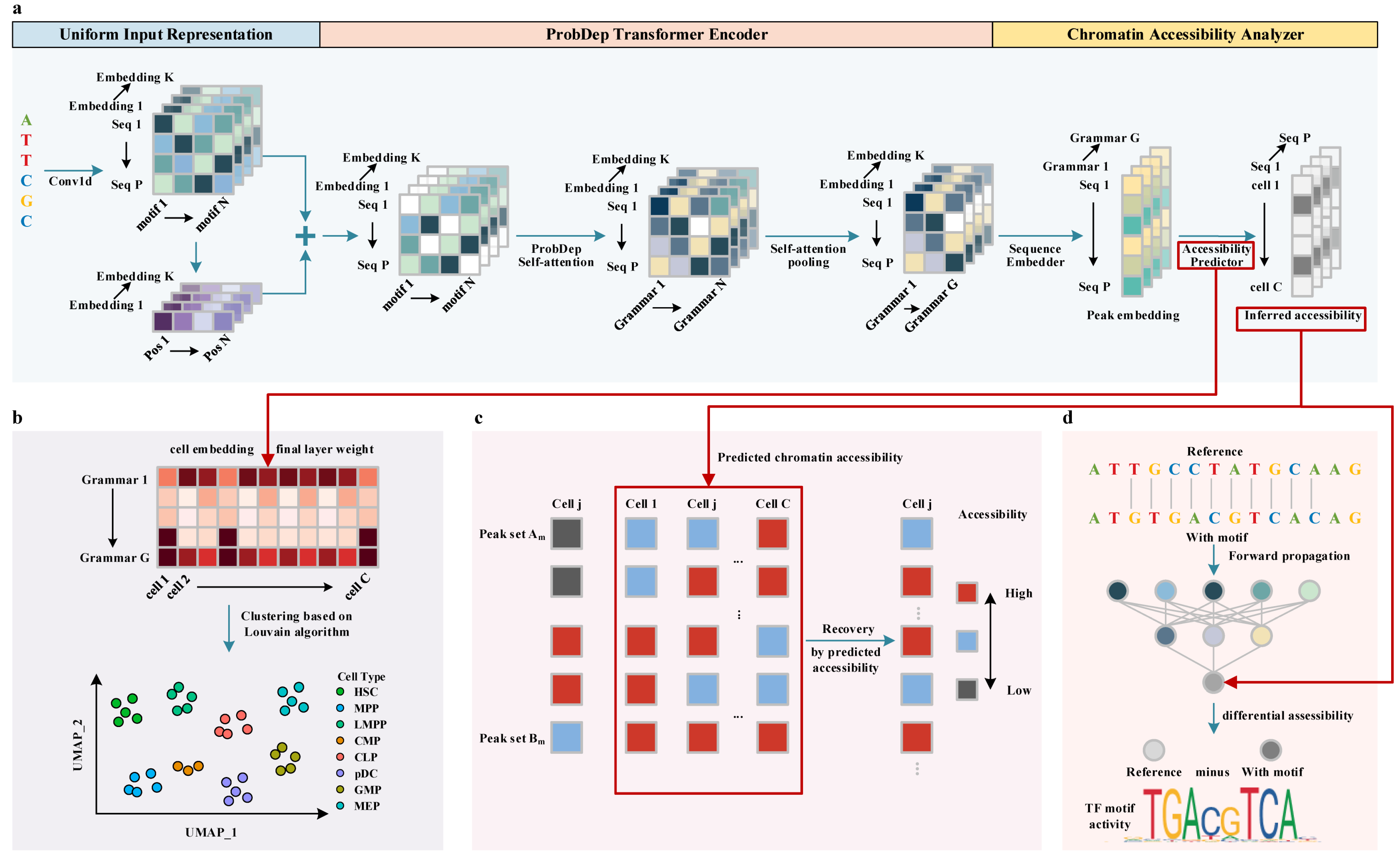 IJMS | Free Full-Text | A Unified Deep Learning Framework For Single ...