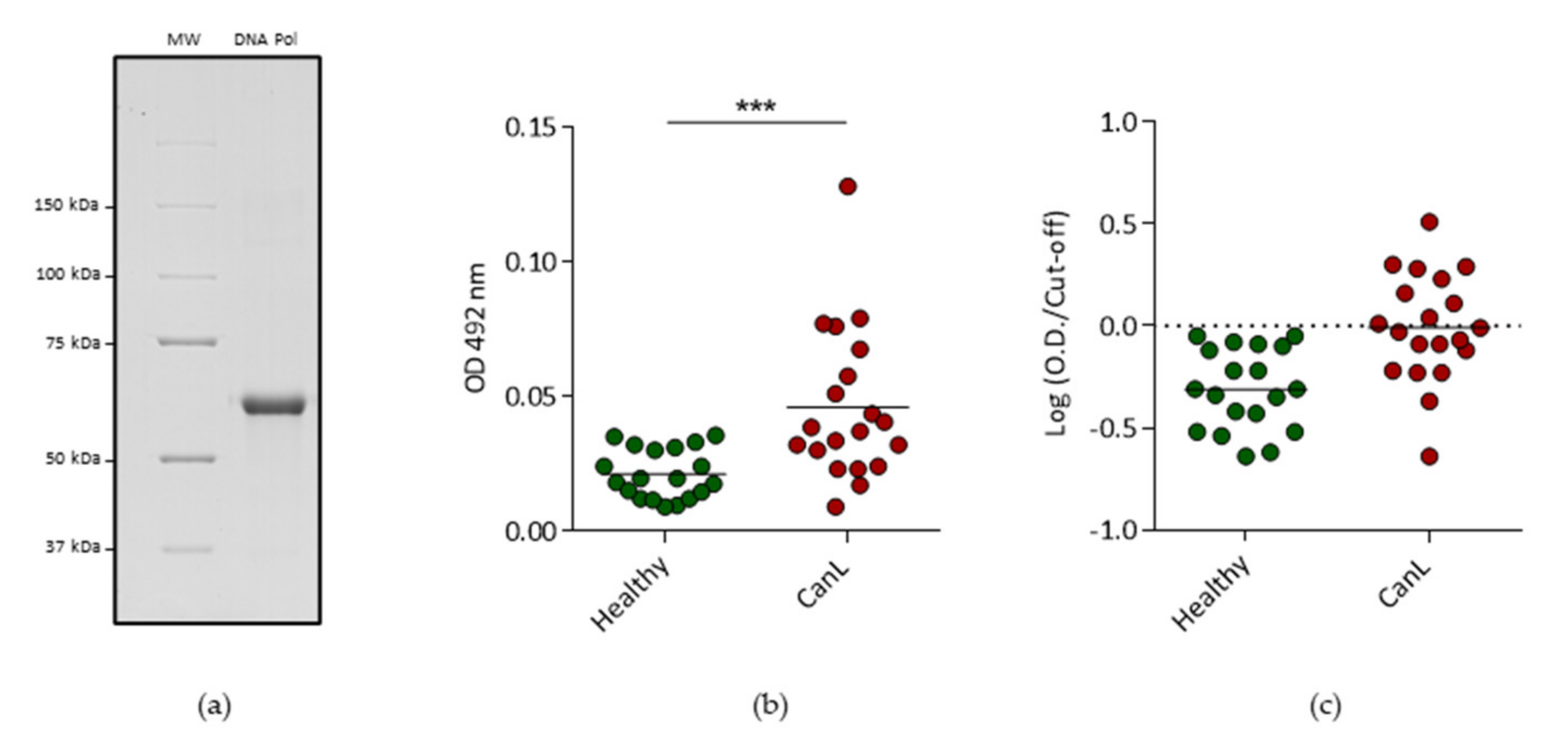 IJMS | Free Full-Text | Characterization And Proteomic Analysis Of ...