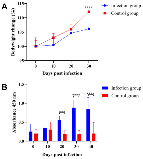 IJMS | Free Full-Text | Infection of Trichinella spiralis Affects 
