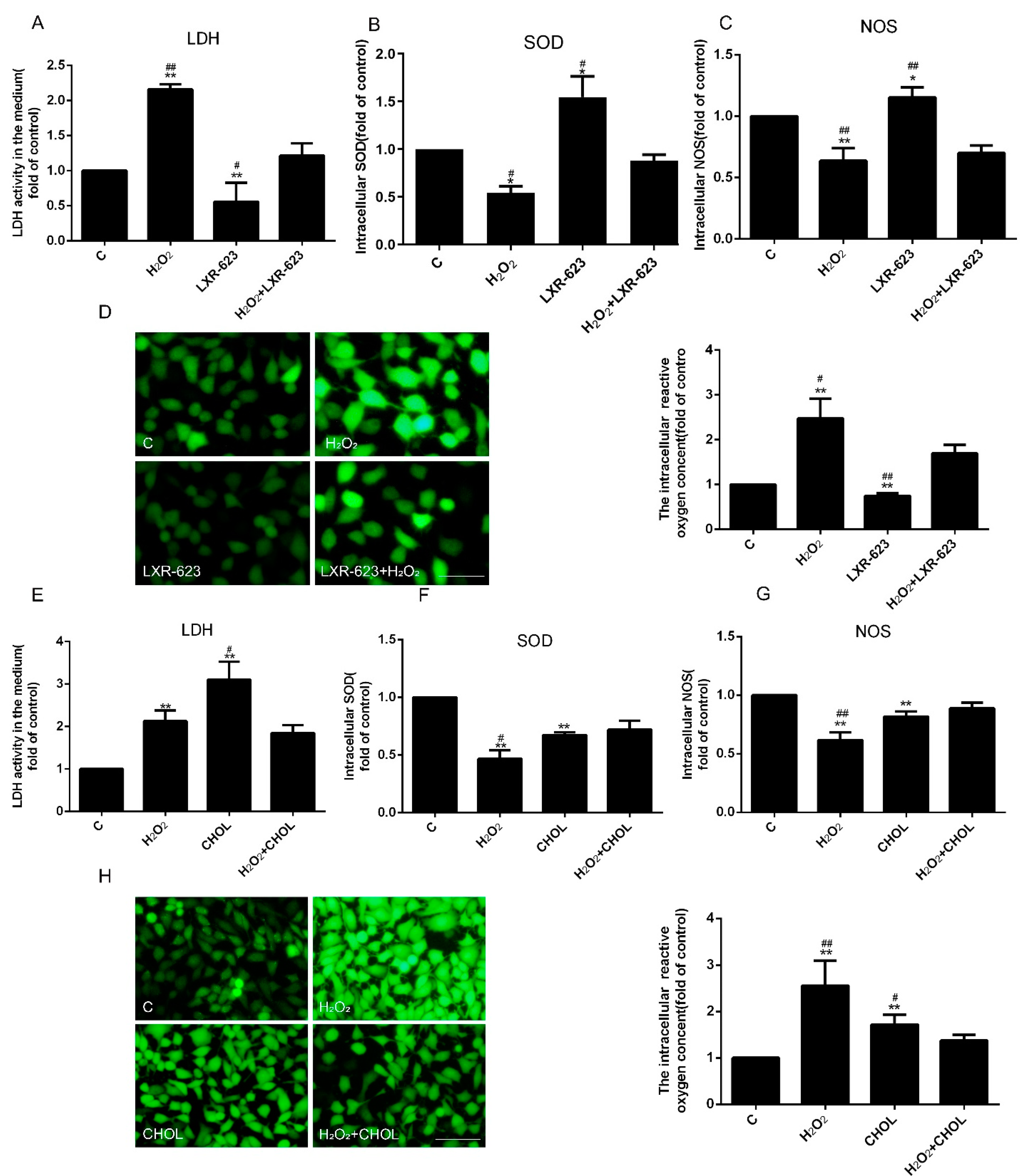 IJMS | Free Full-Text | The Effect of Cholesterol Efflux on Endothelial ...