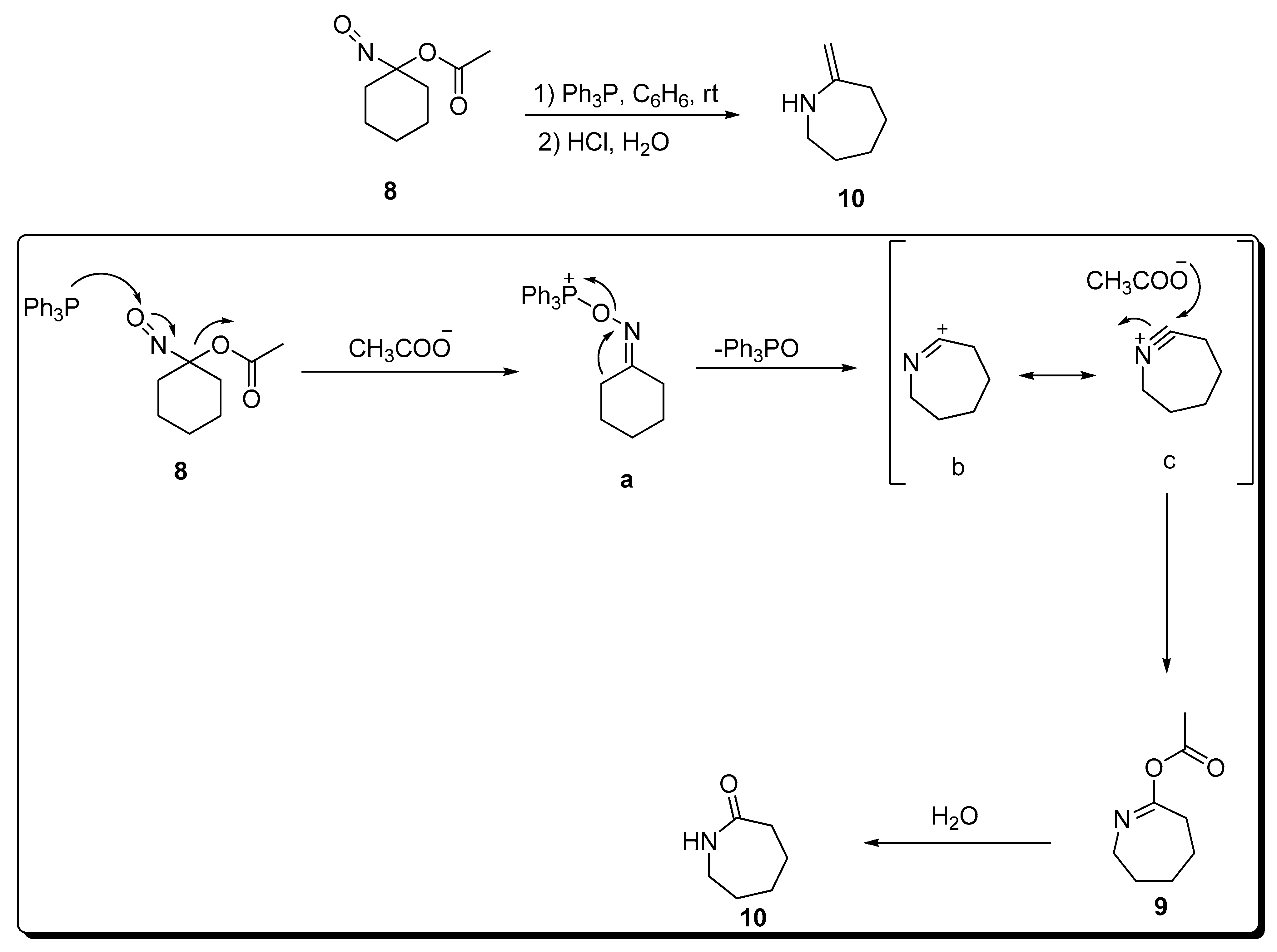 Preparation of Stable Bicyclic Aziridinium Ions and Their Ring-Opening for  the Synthesis of Azaheterocycles