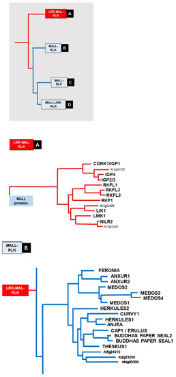 Playoff Tight End Update - ROS, Weekly, and Visualized Playoff