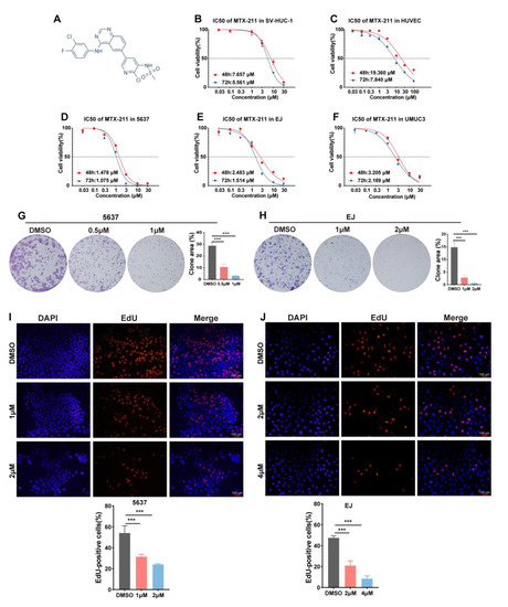MTX-211 Inhibits GSH Synthesis through Keap1/NRF2/GCLM Axis