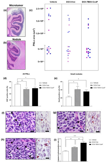 Peptide-Functionalized and Drug-Loaded Tomato Bushy Stunt Virus ...